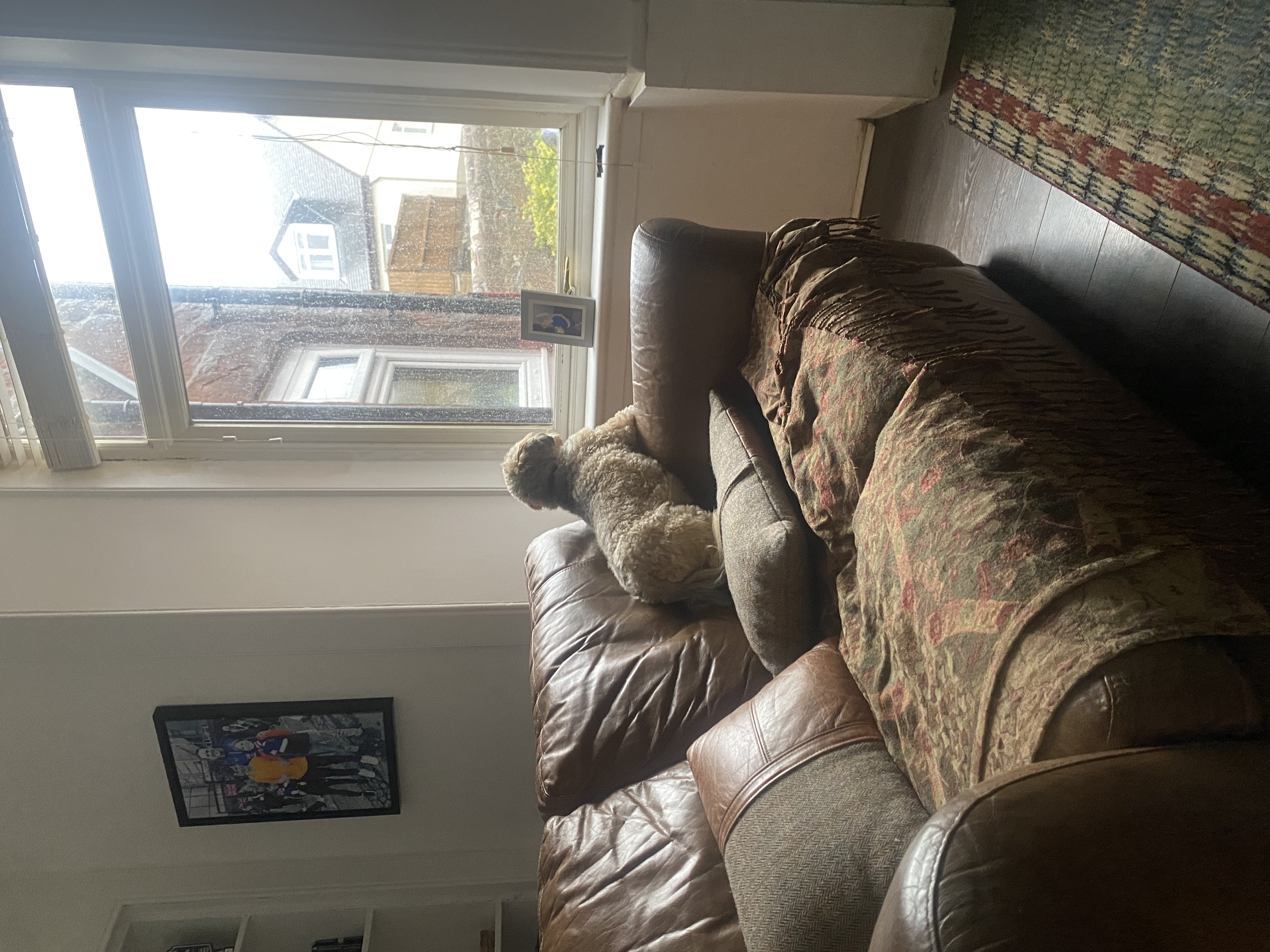 image-19