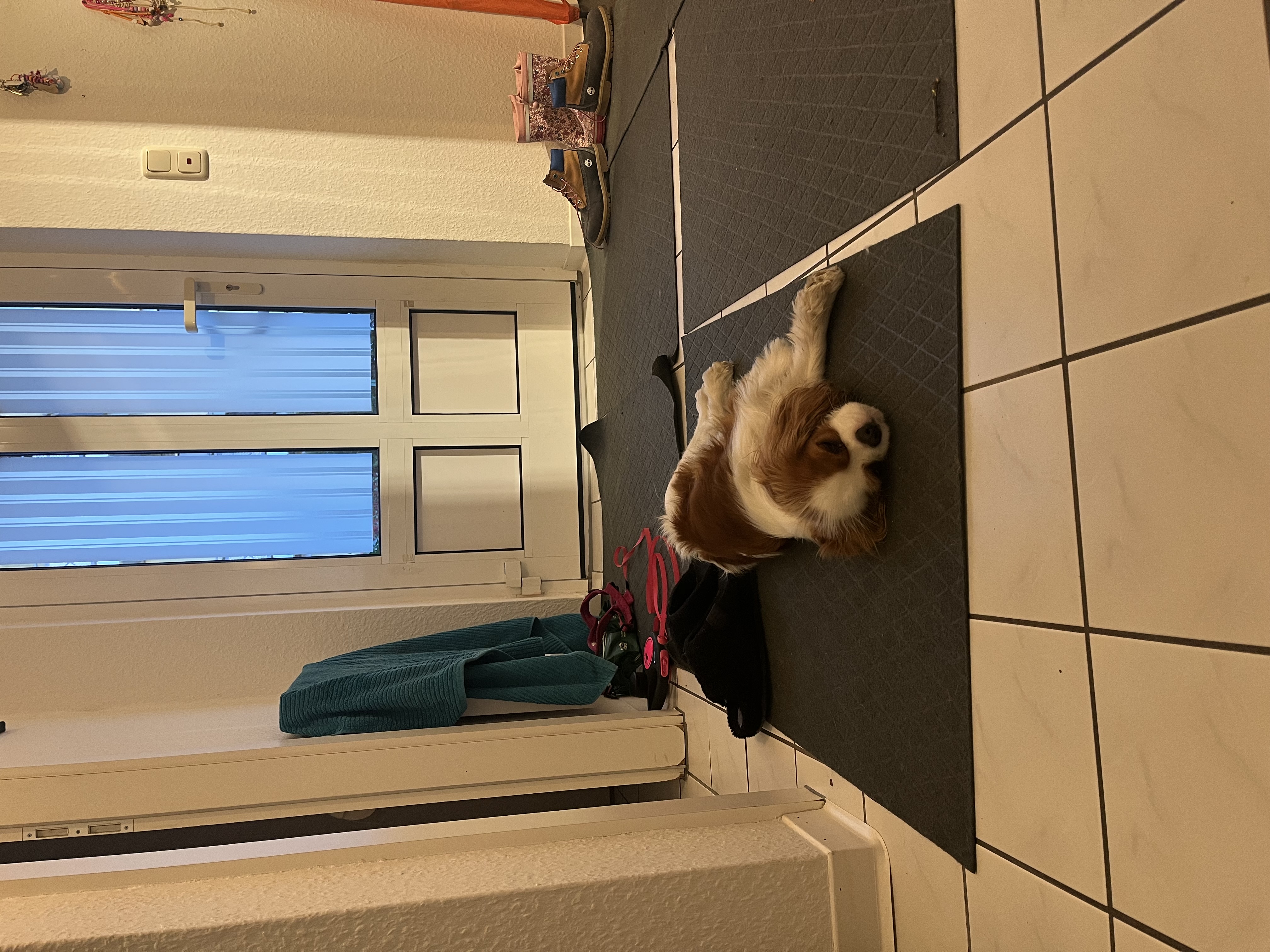 image-18
