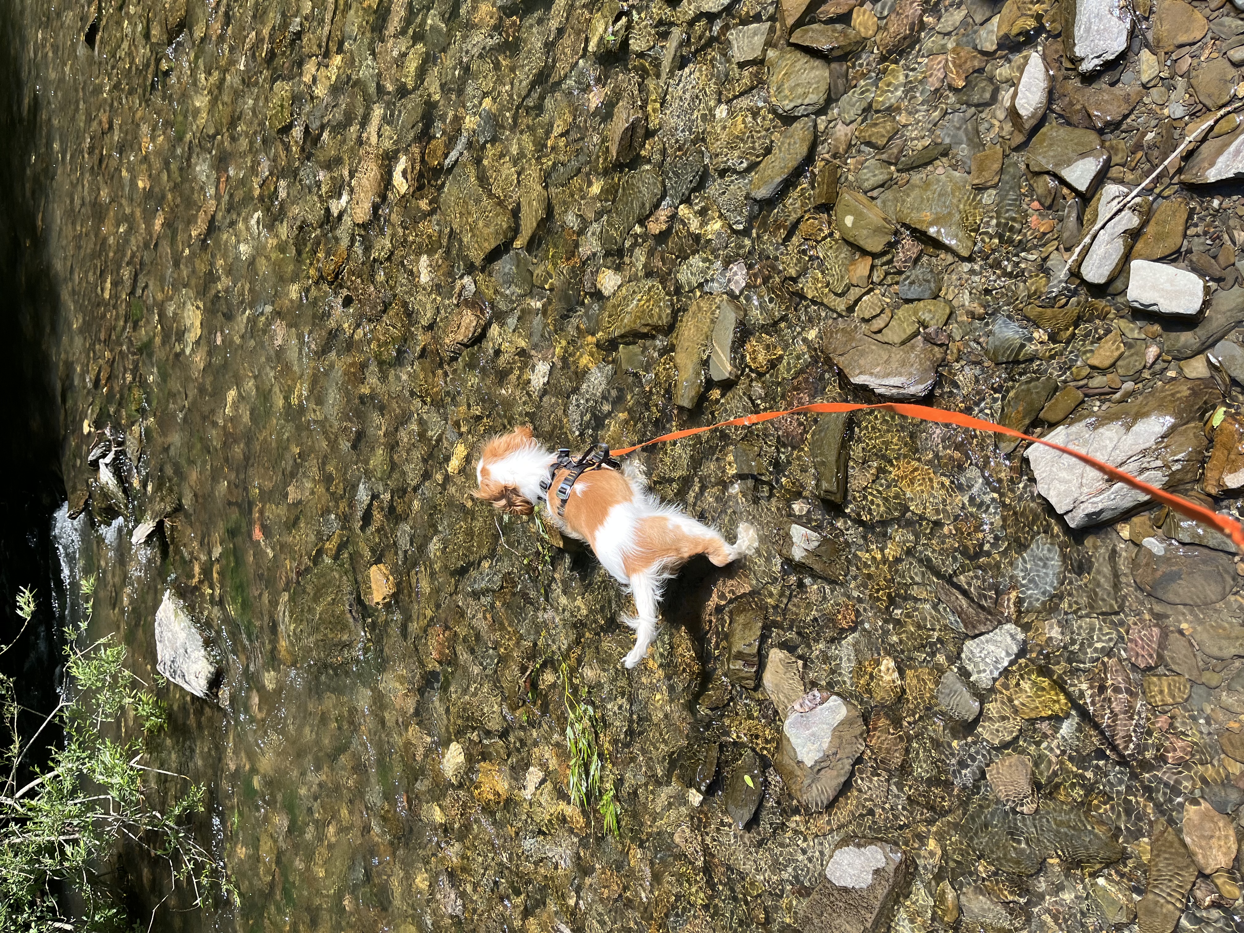 image-8