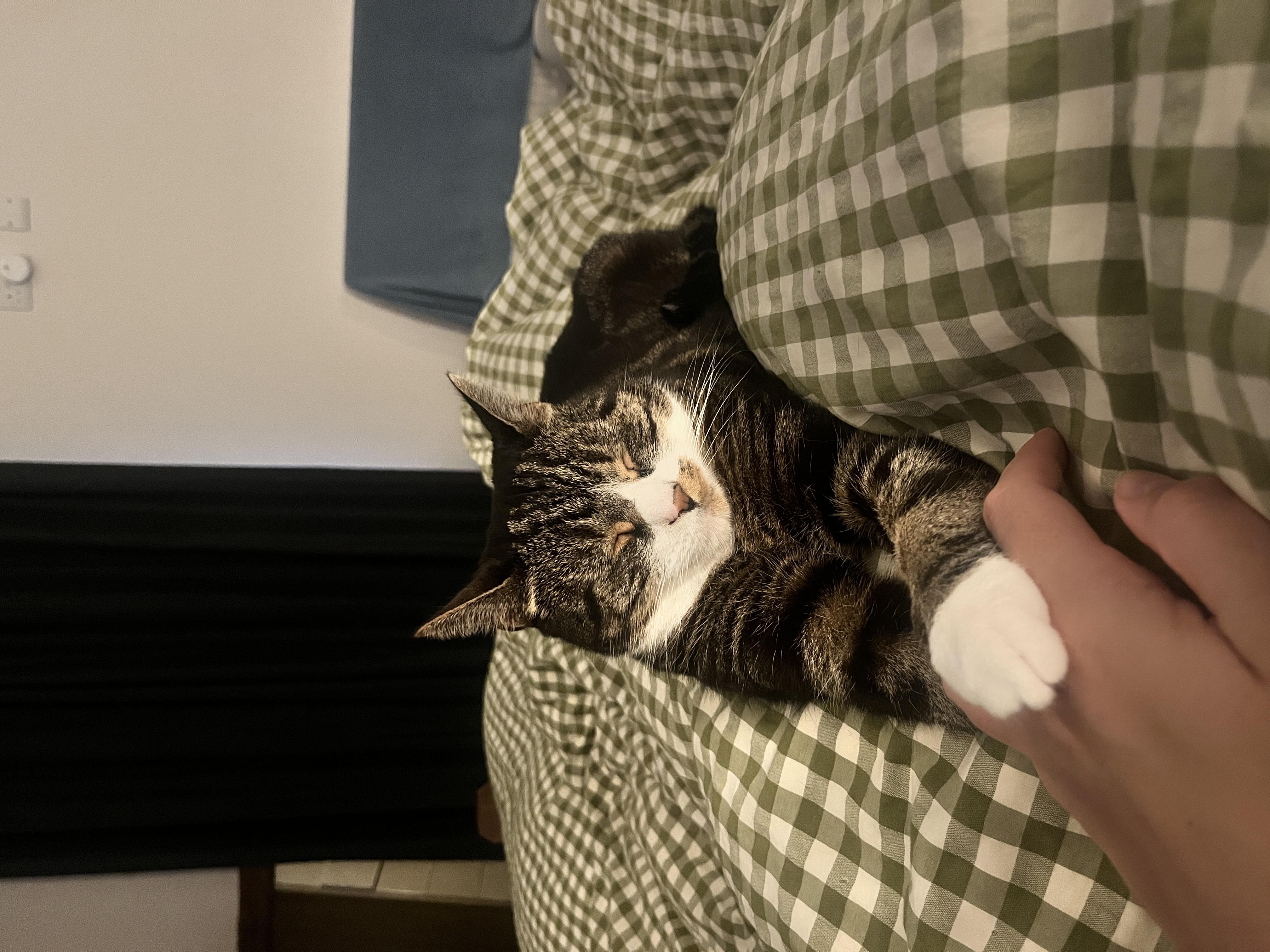 image-9