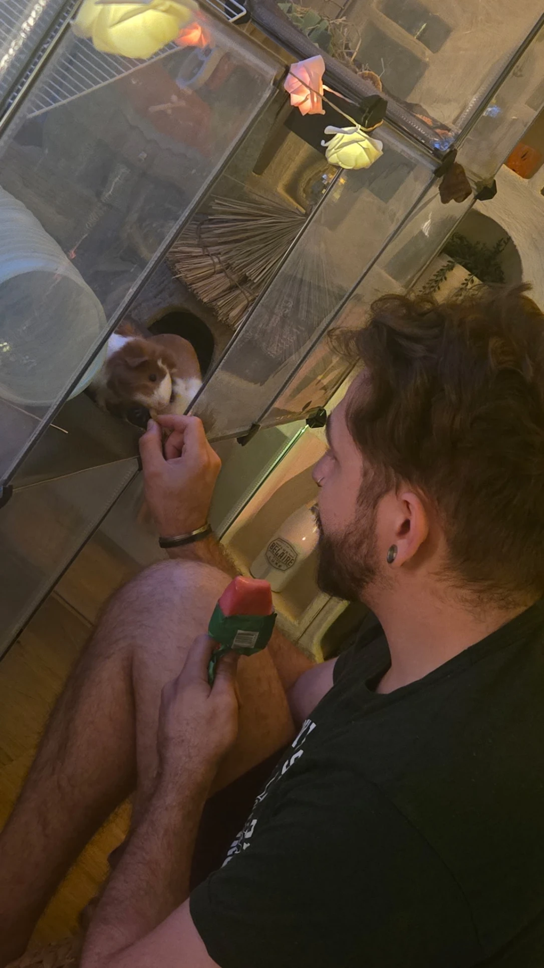 image-6