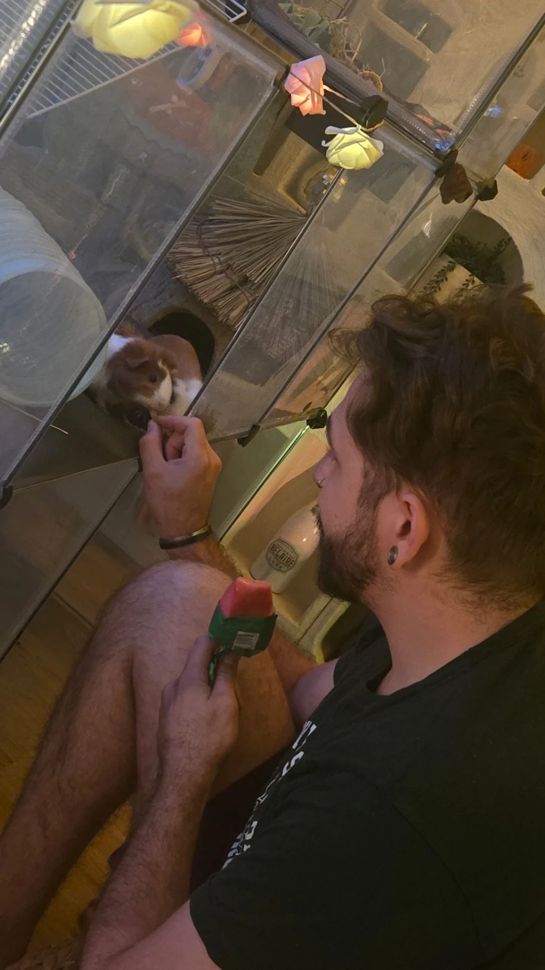 image-6