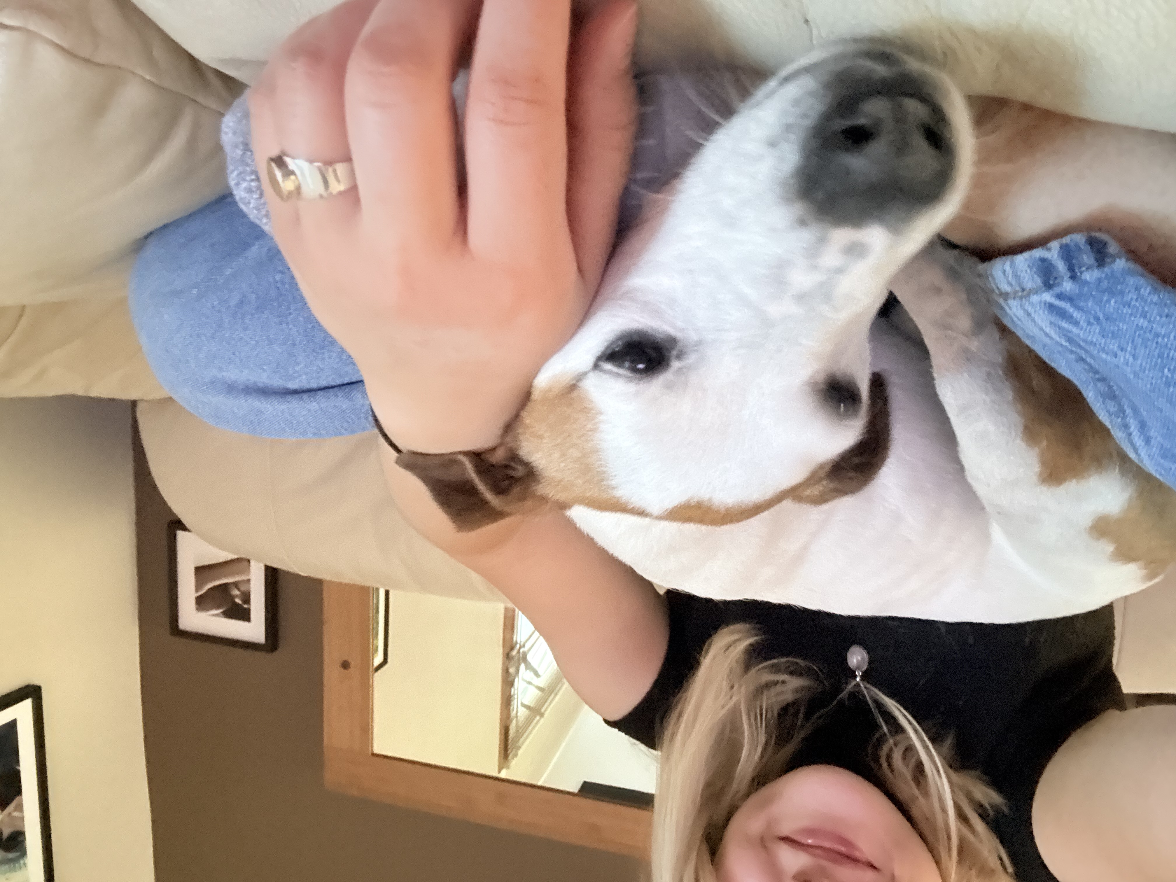 image-6