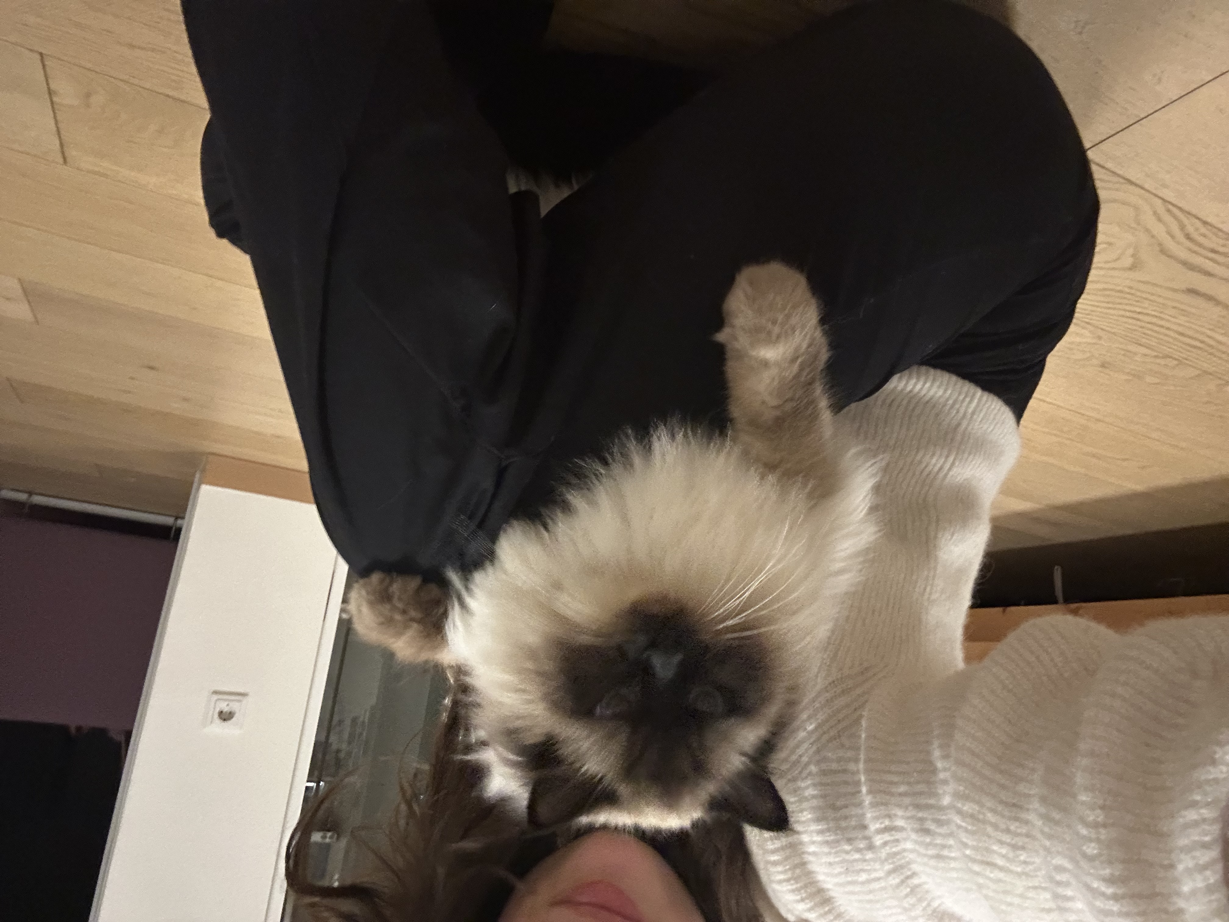 image-8