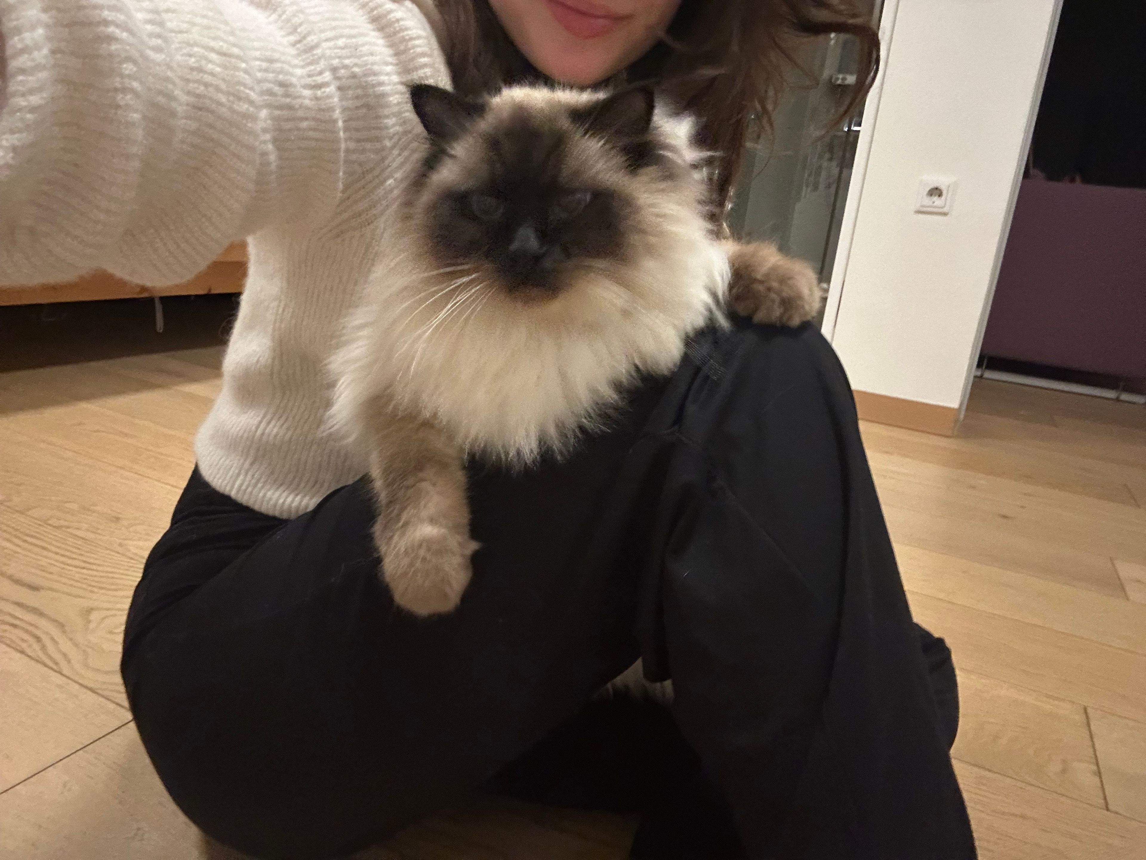 image-8