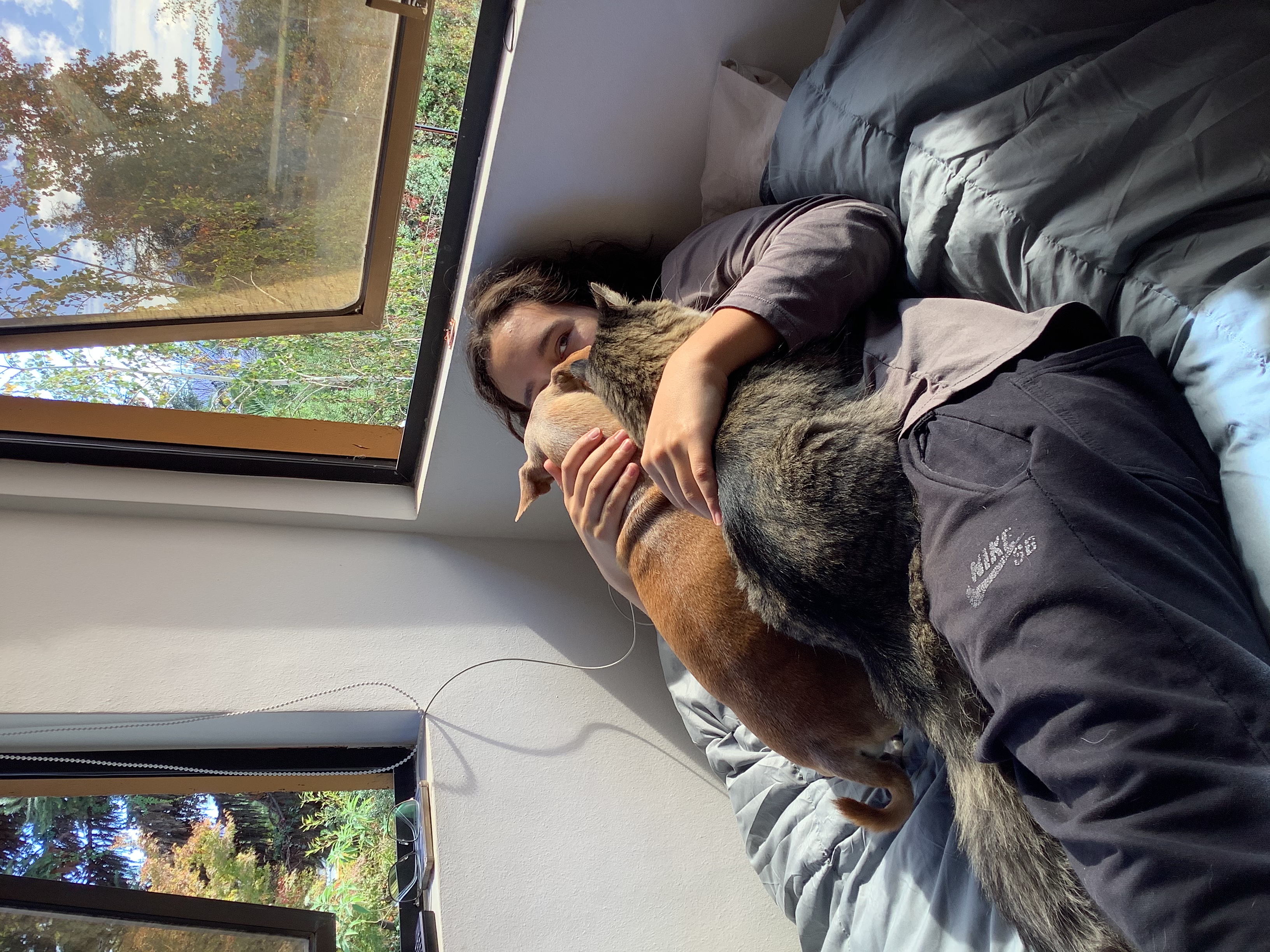 image-7
