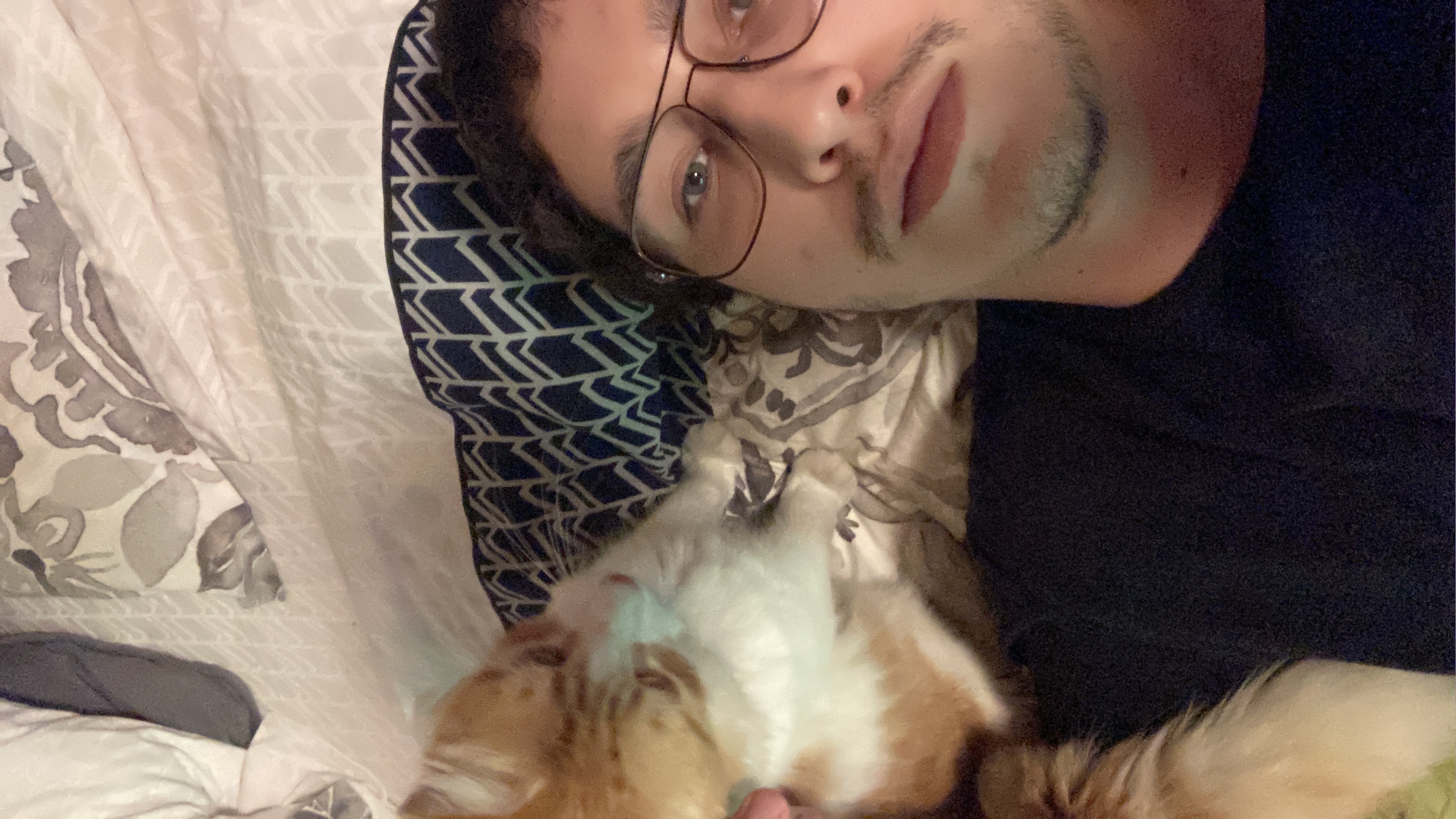 image-8