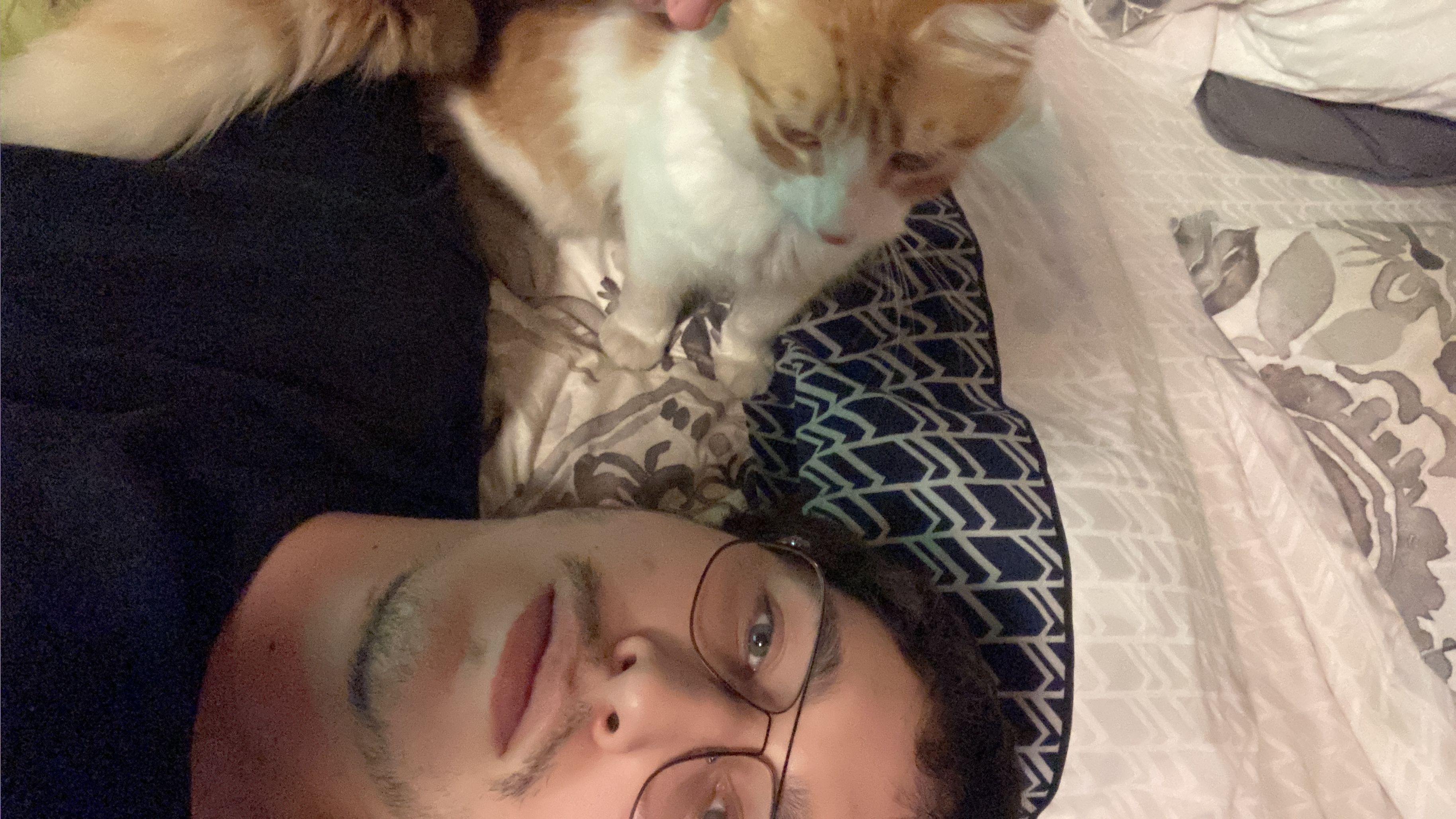 image-8
