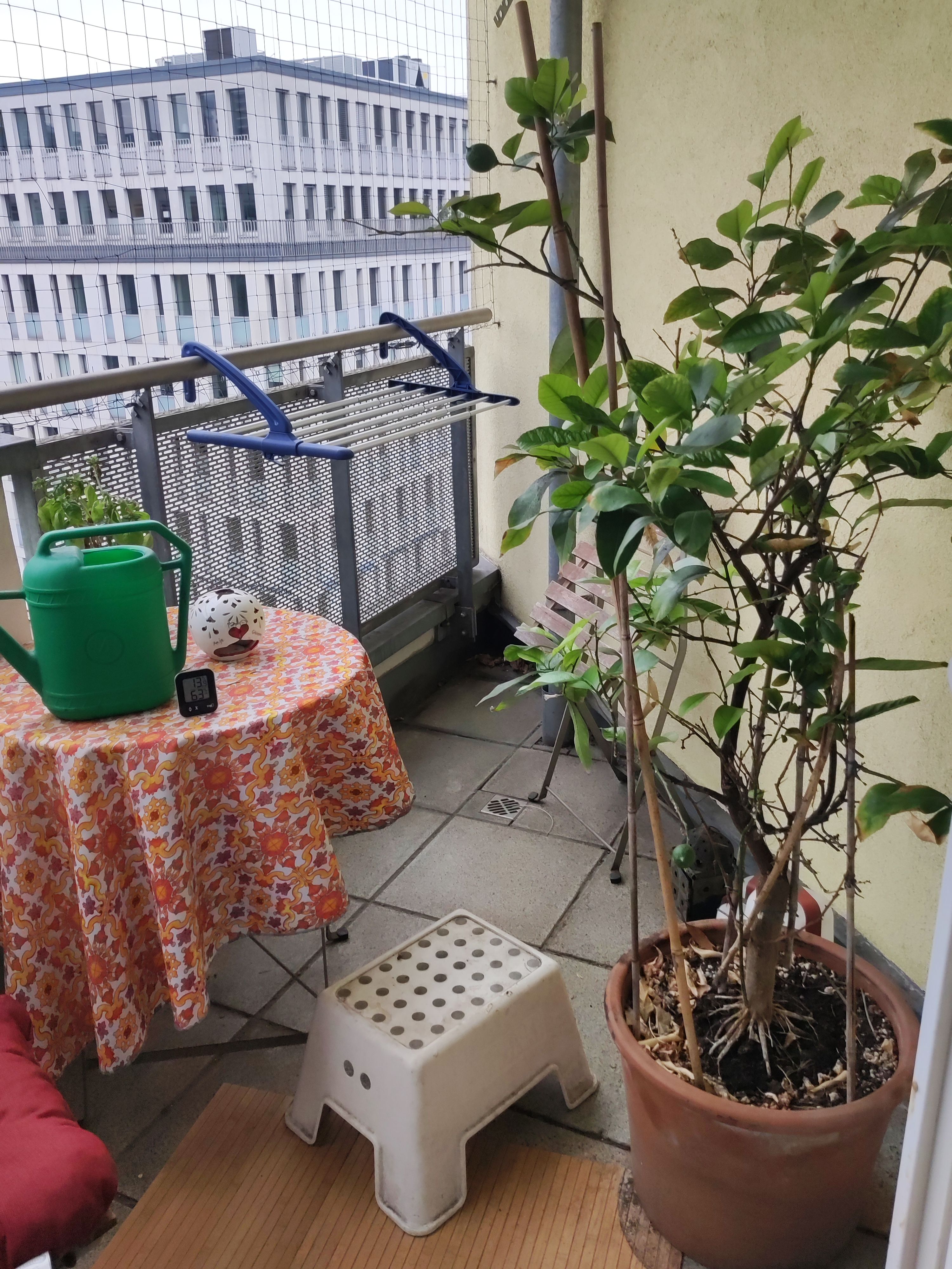 image-18