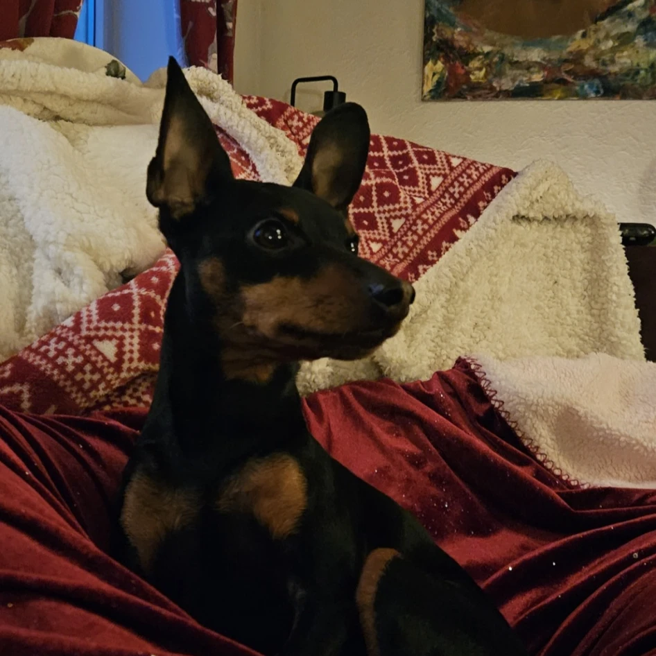 zuko