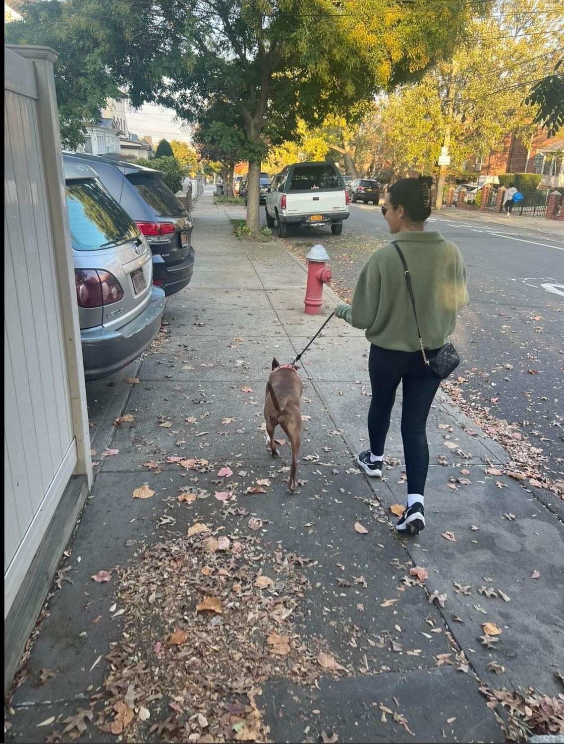 image-11
