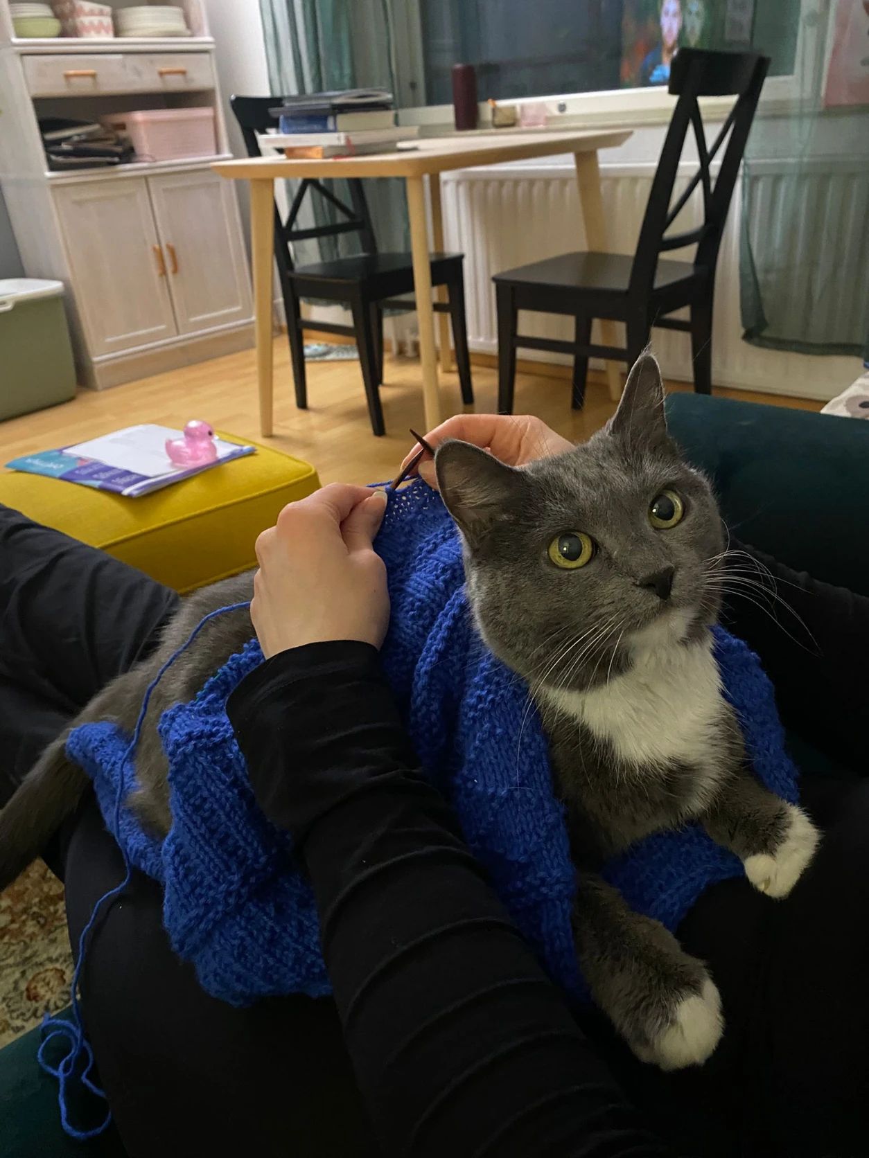 image-6