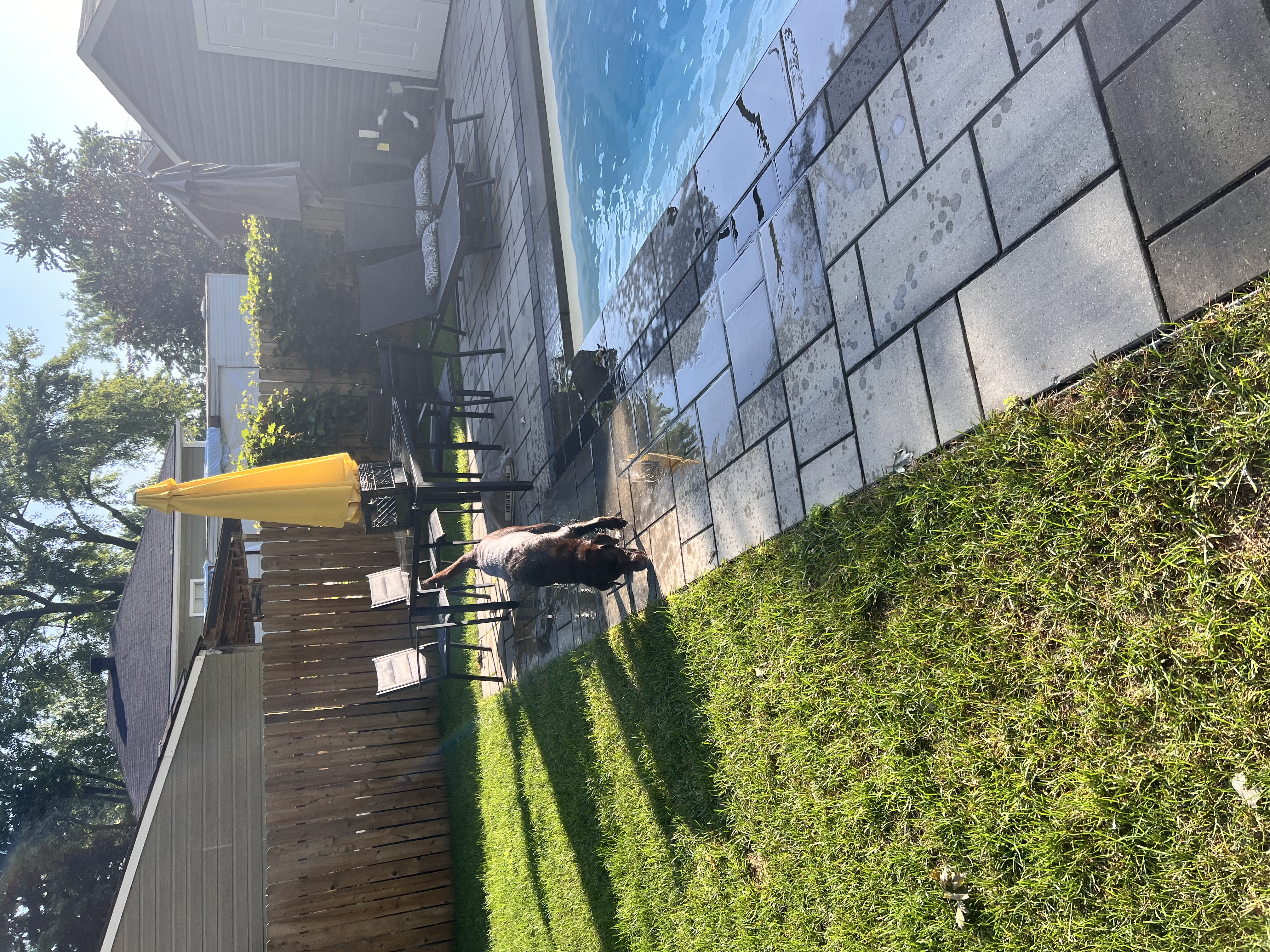 image-14