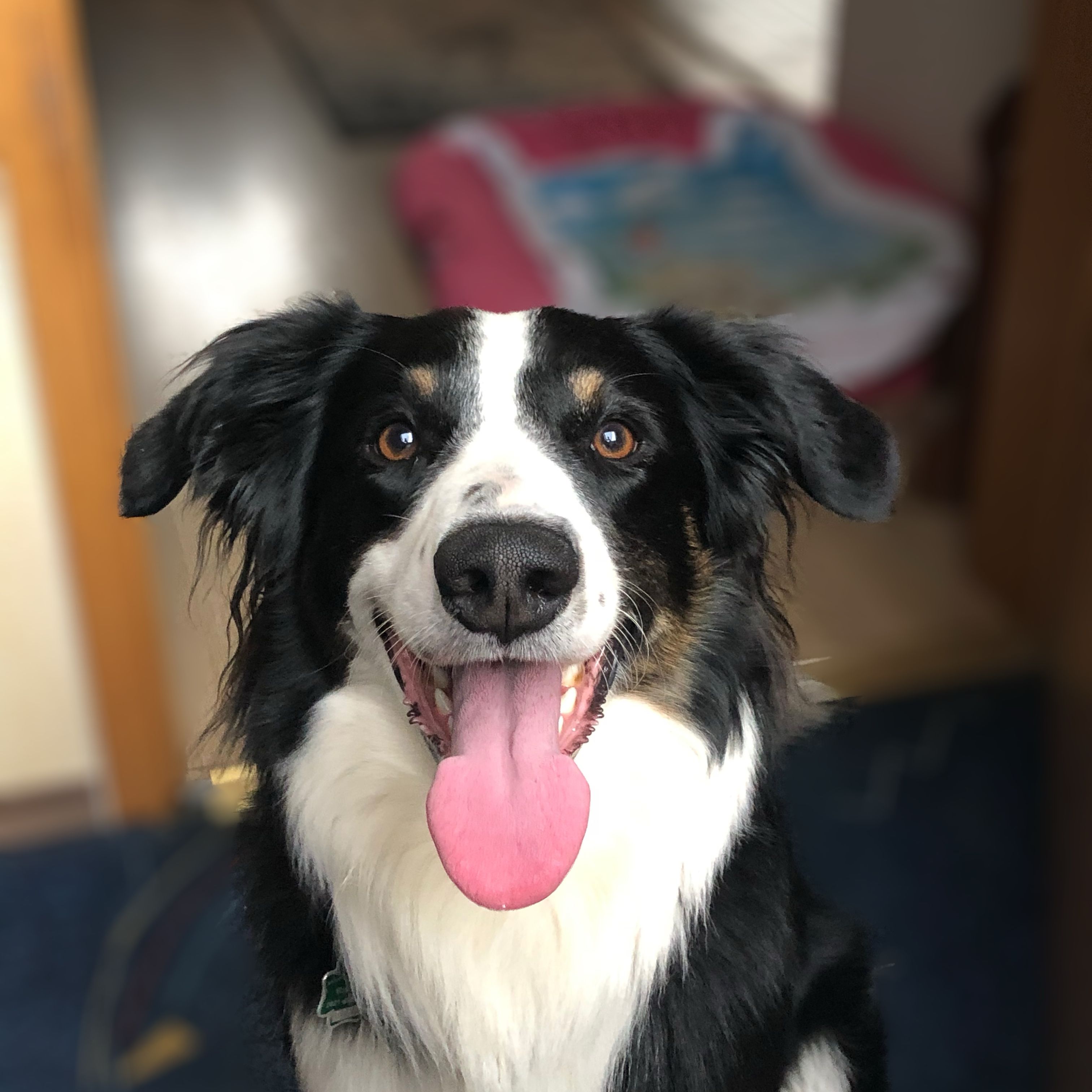 Carlos