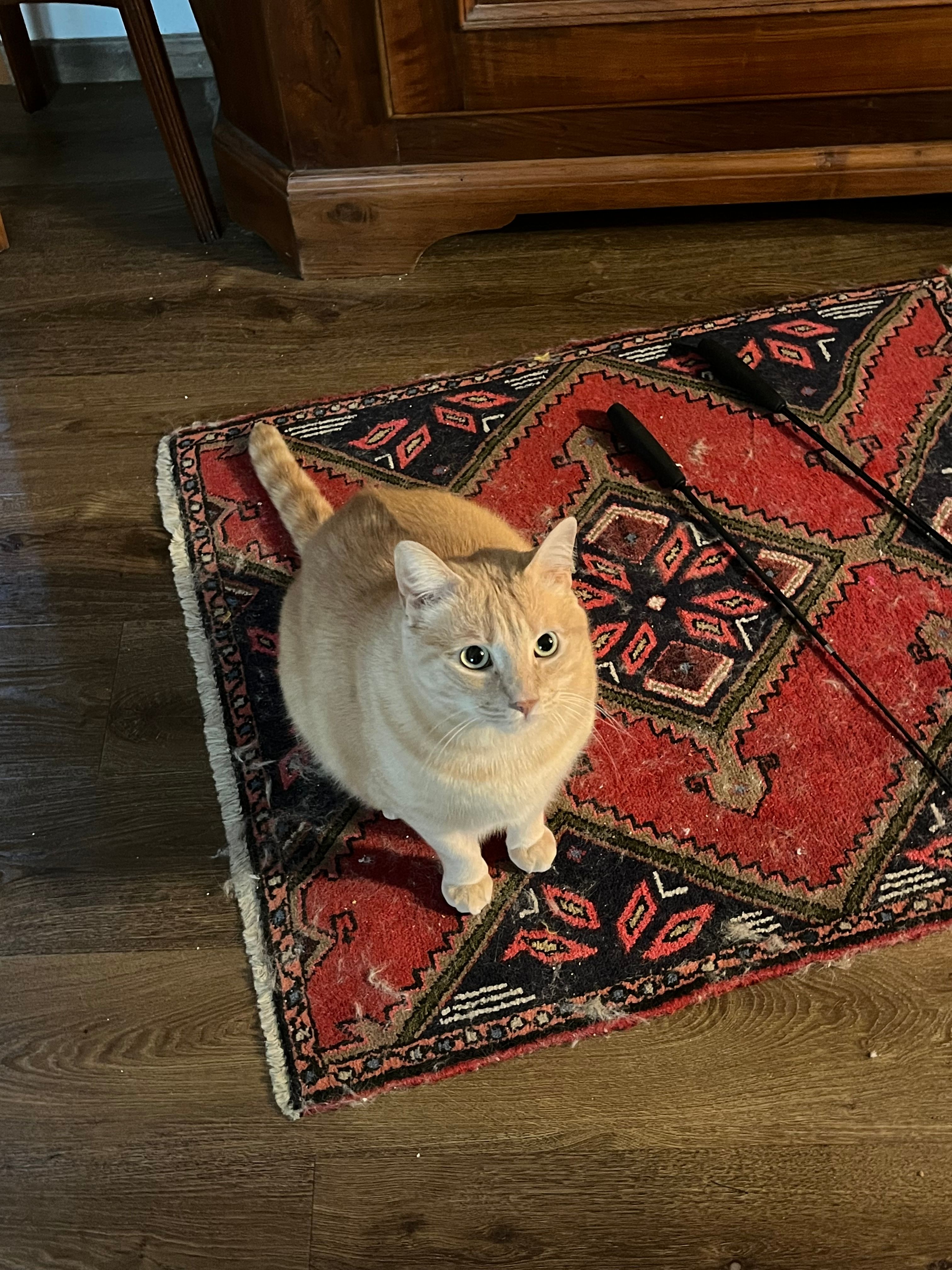 image-11