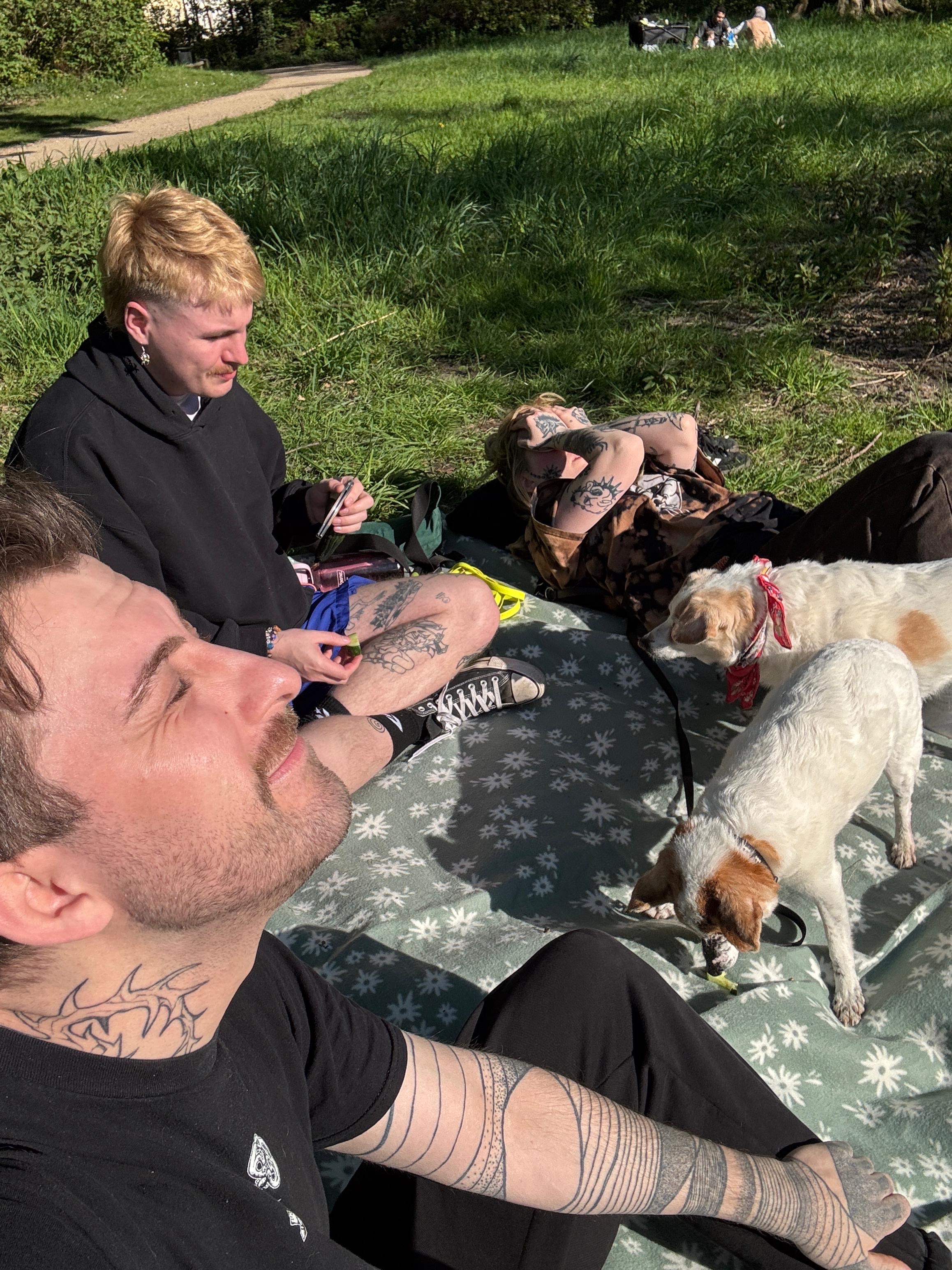 image-4
