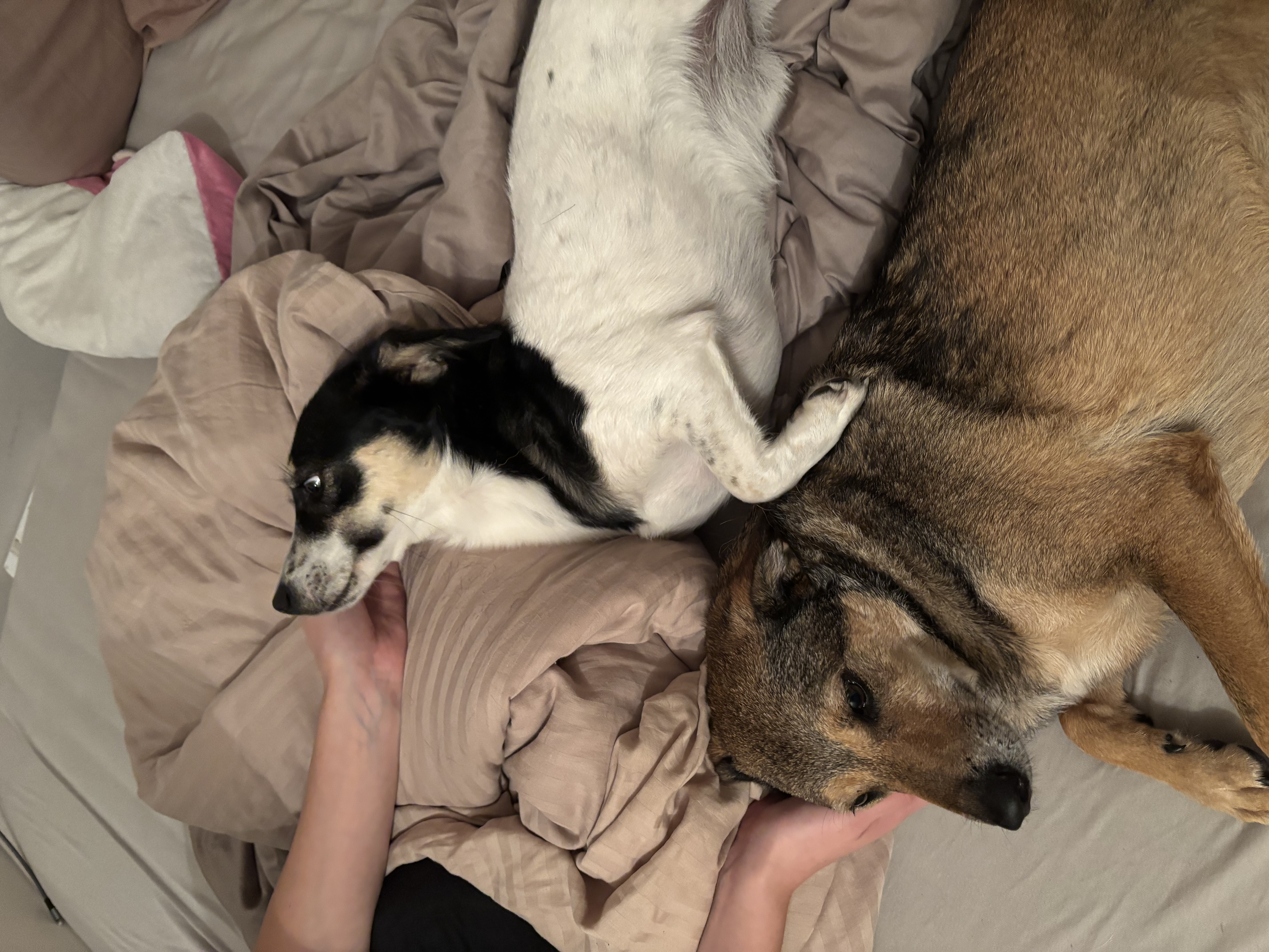 image-3