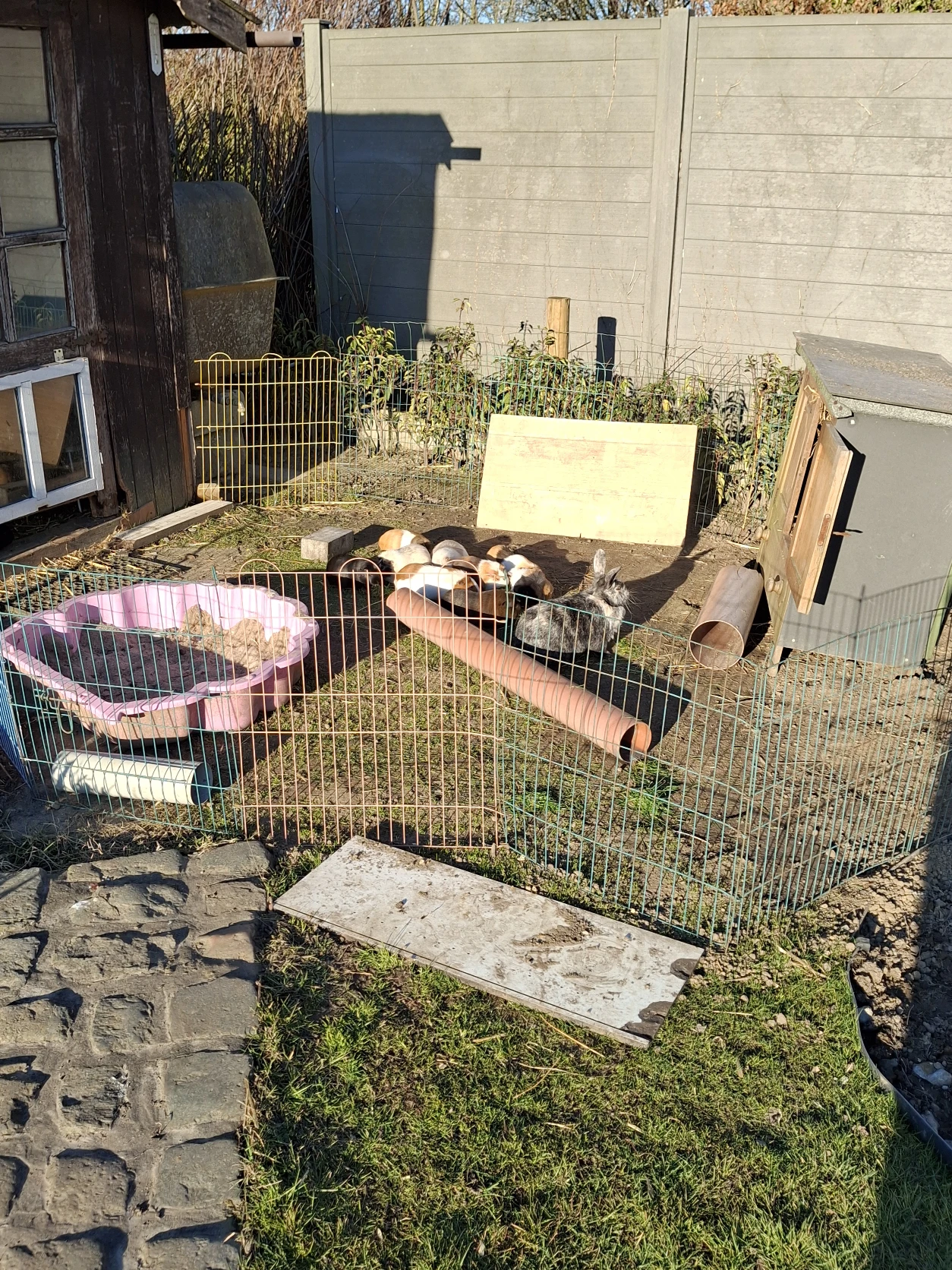 image-6