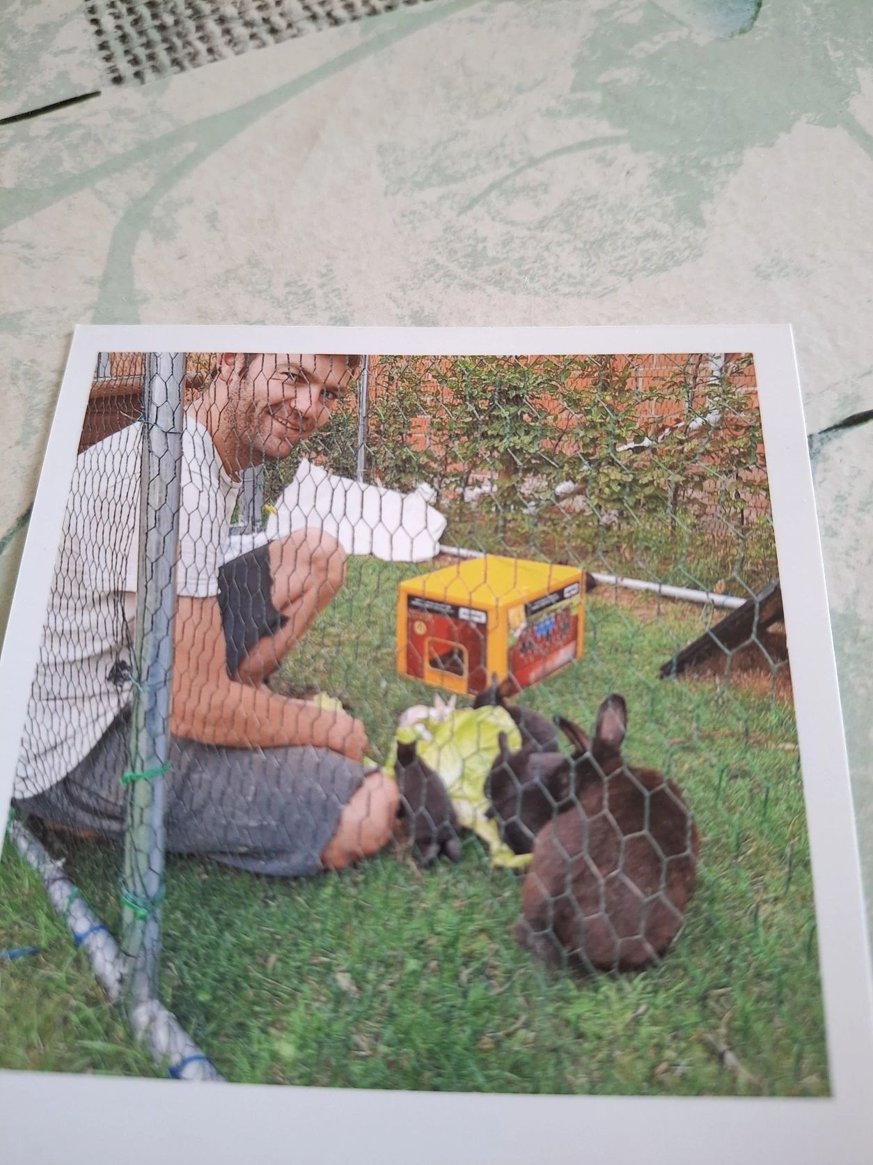 image-4