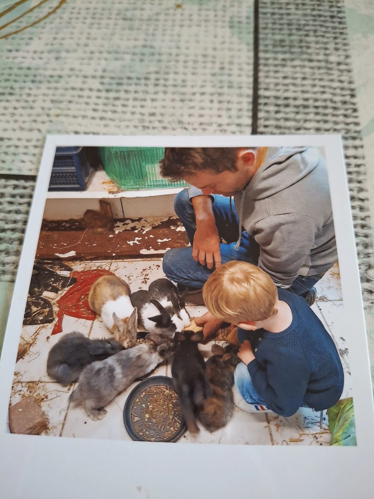 image-10