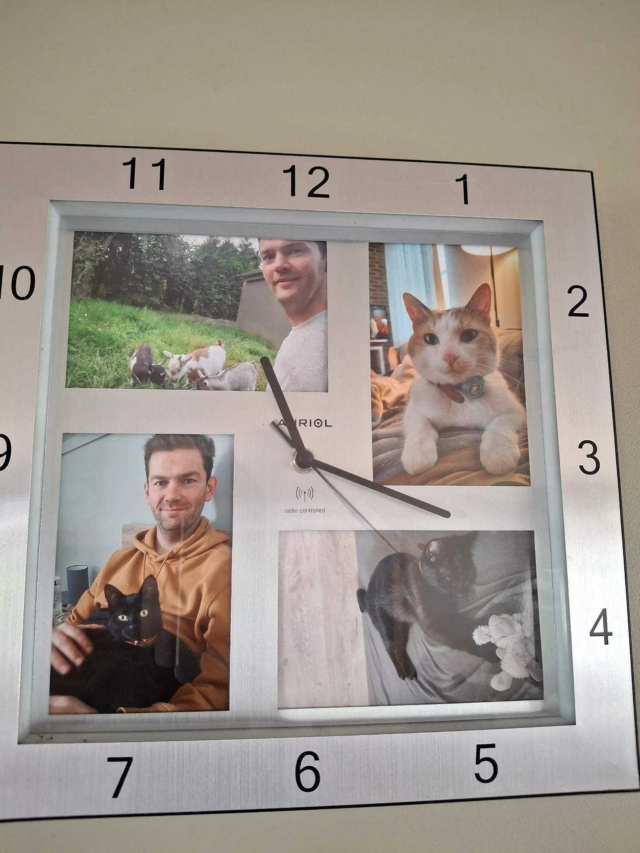 image-11