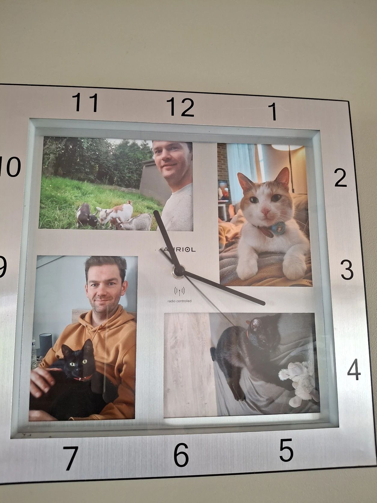 image-11