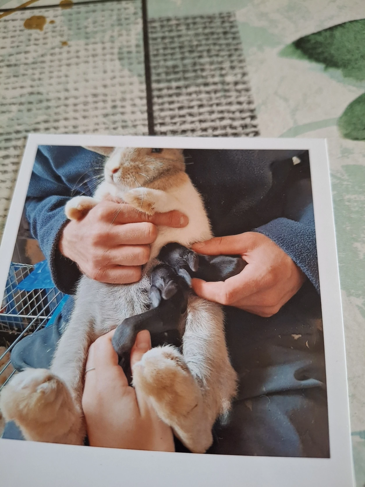 image-8