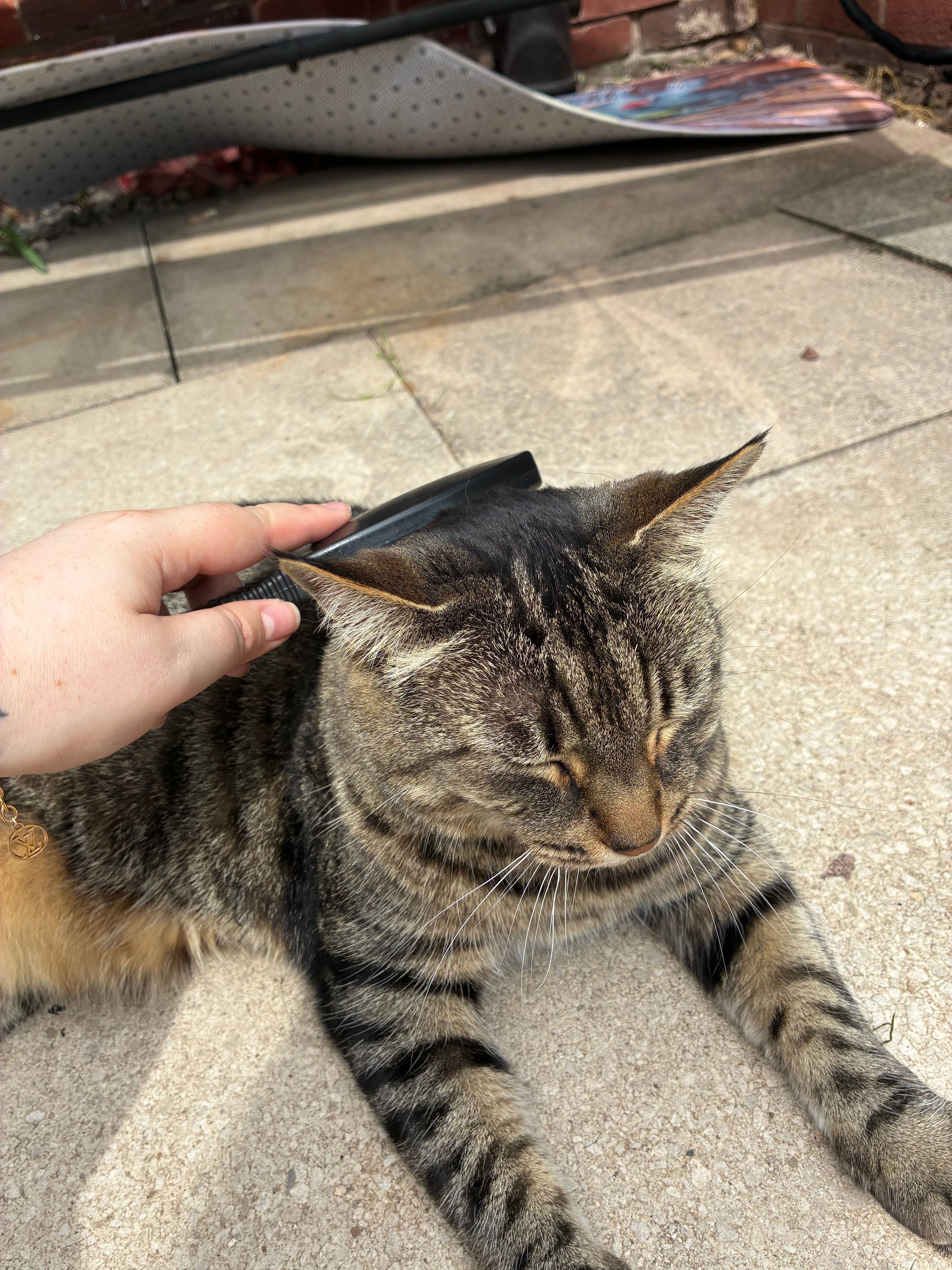 image-9