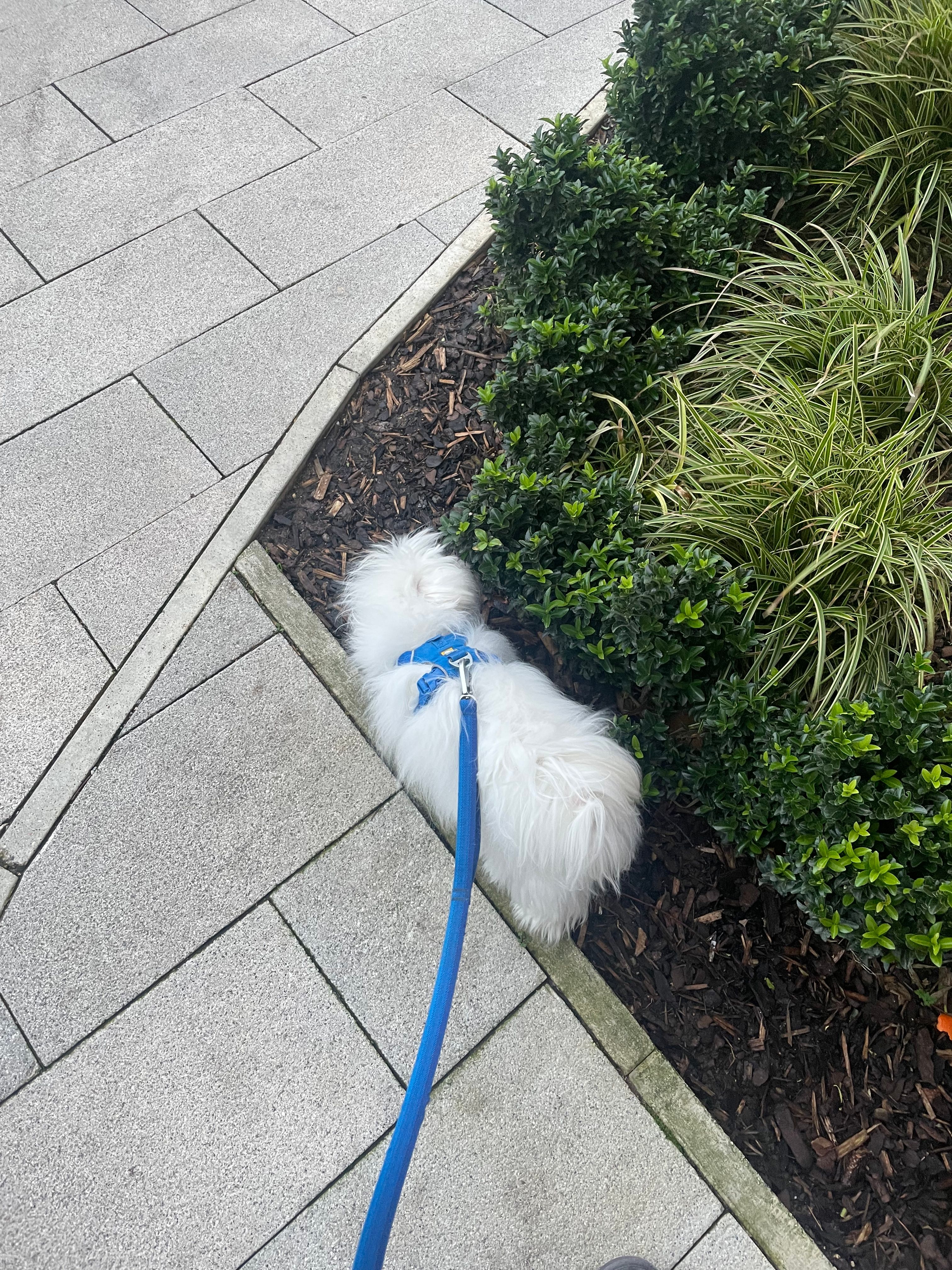 image-18