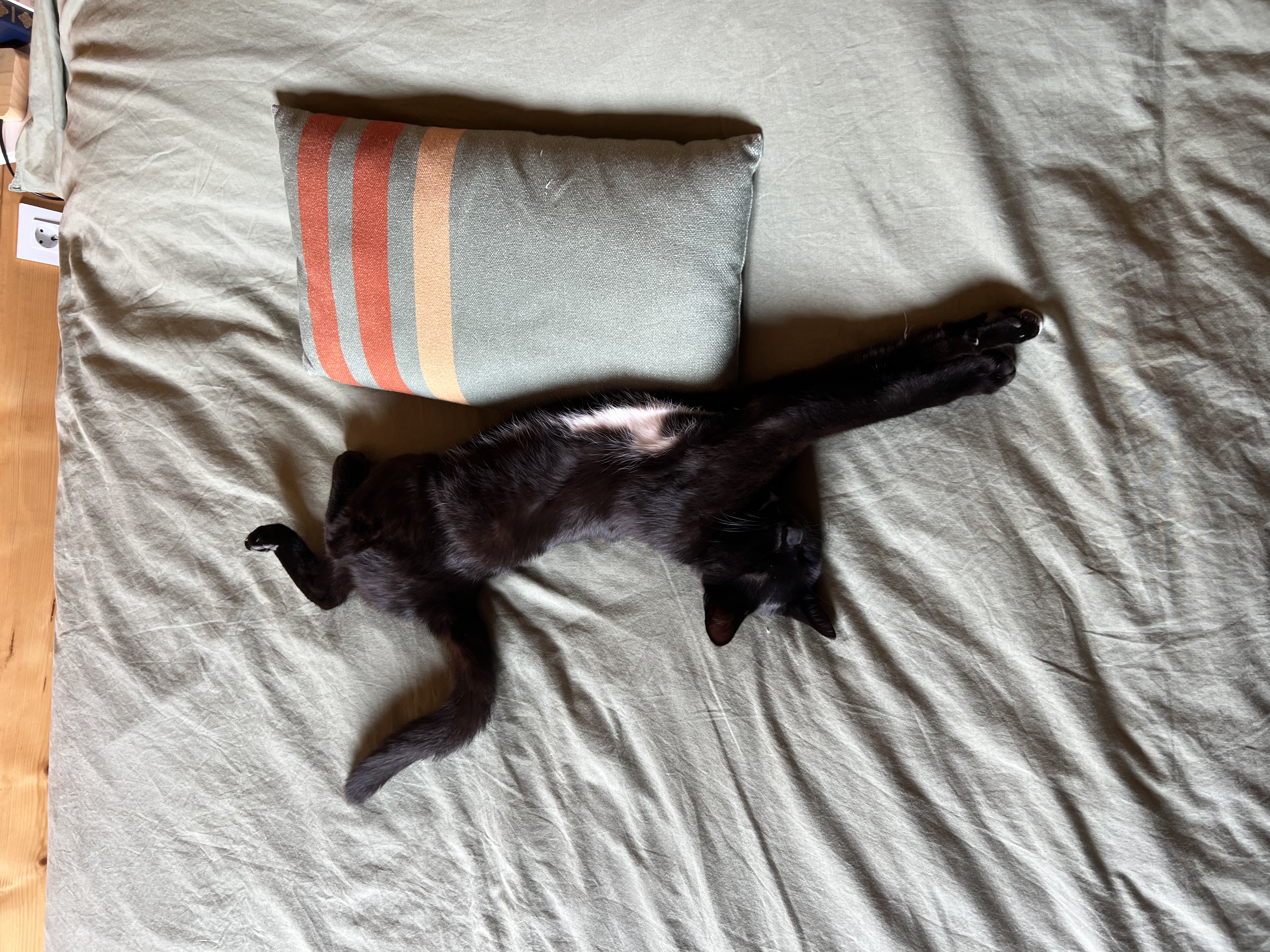 image-7