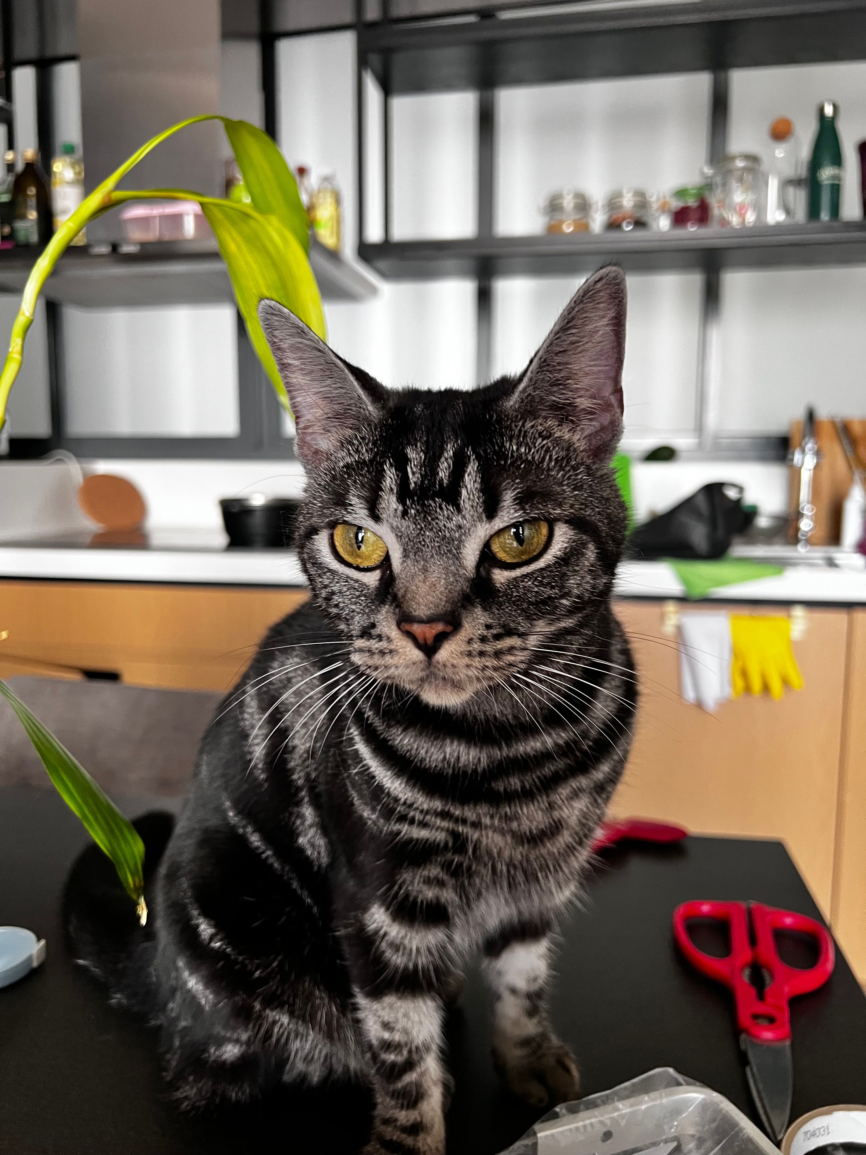 image-6