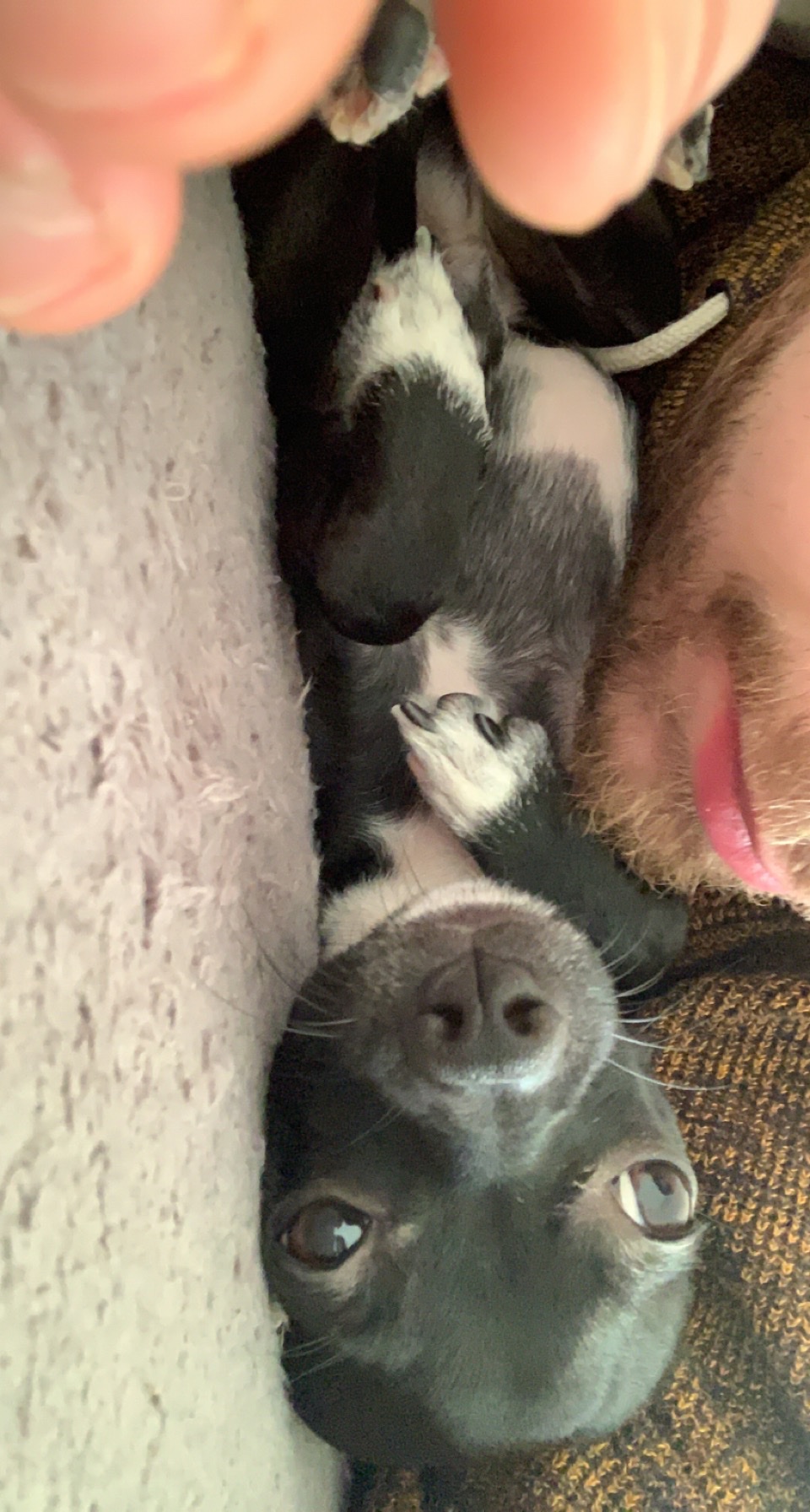 image-8