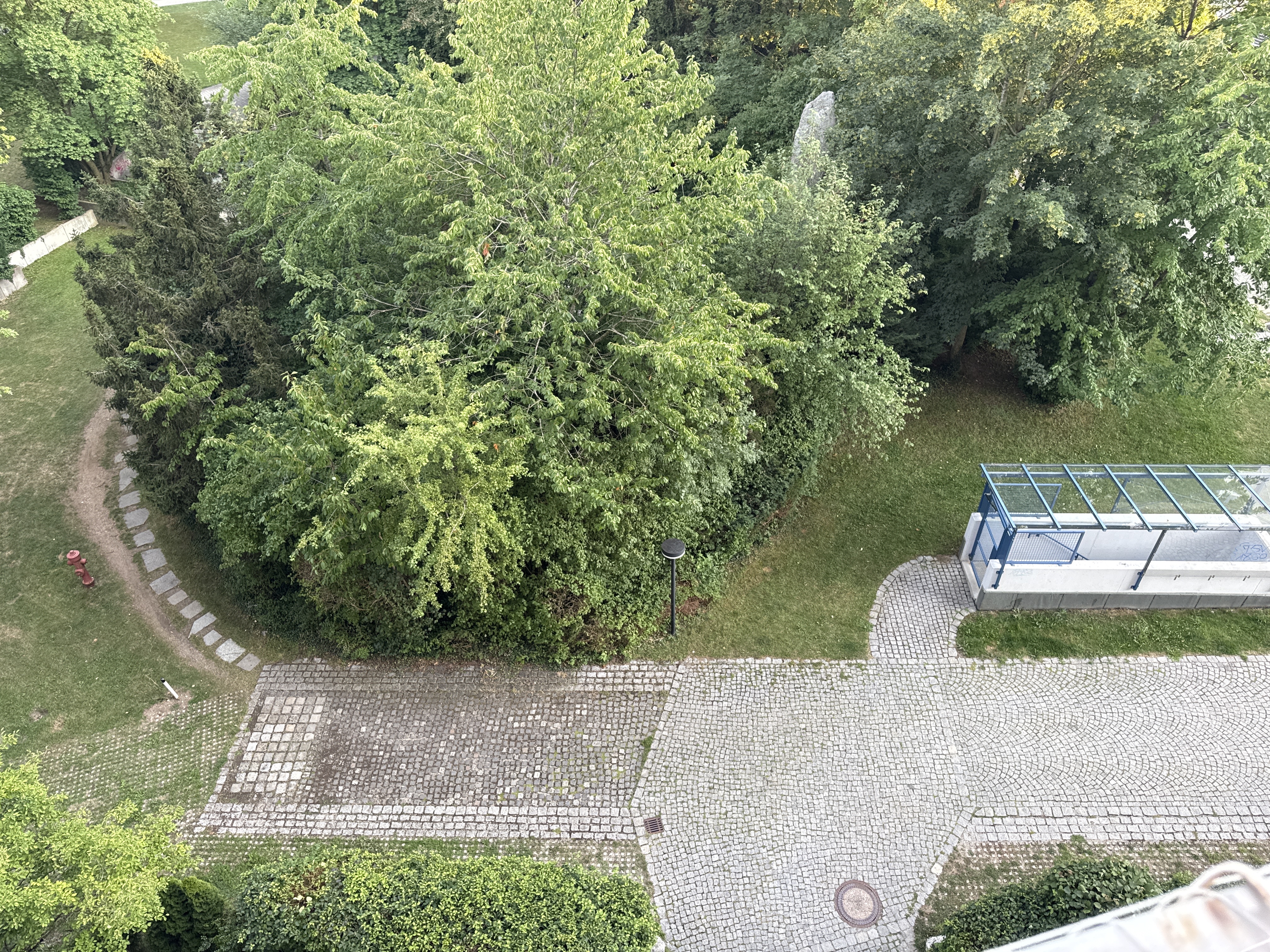 image-19