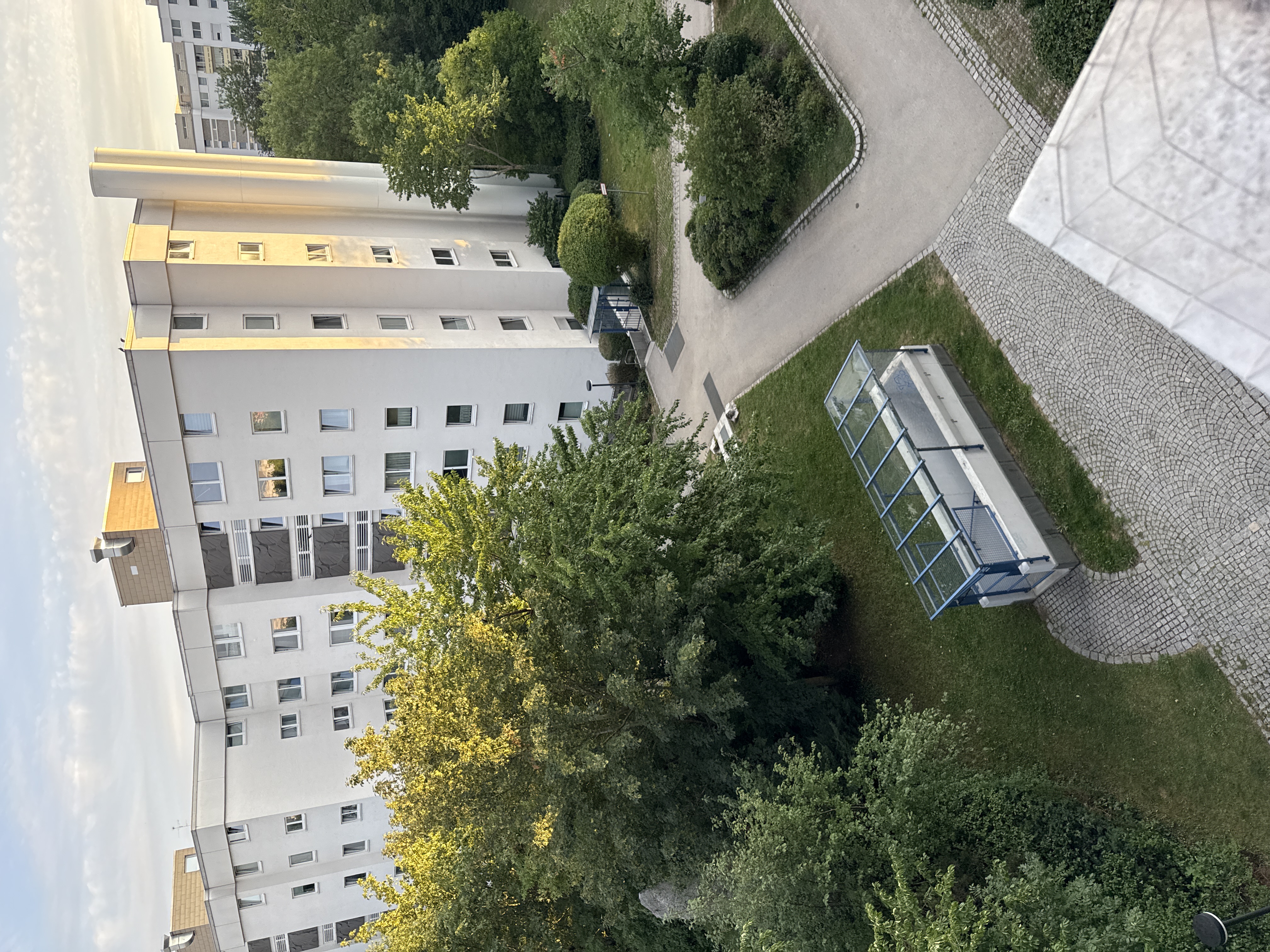 image-20
