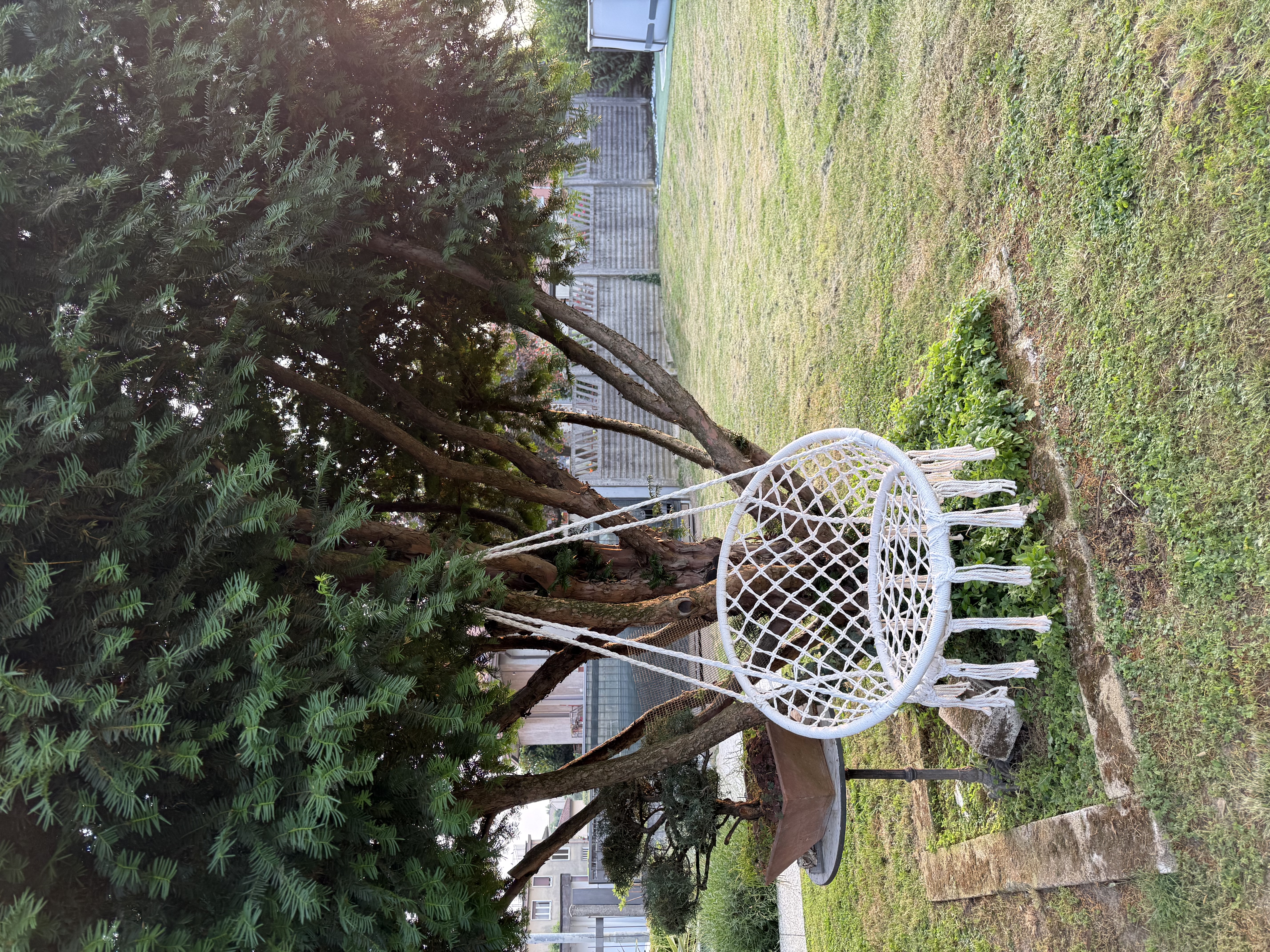 image-20