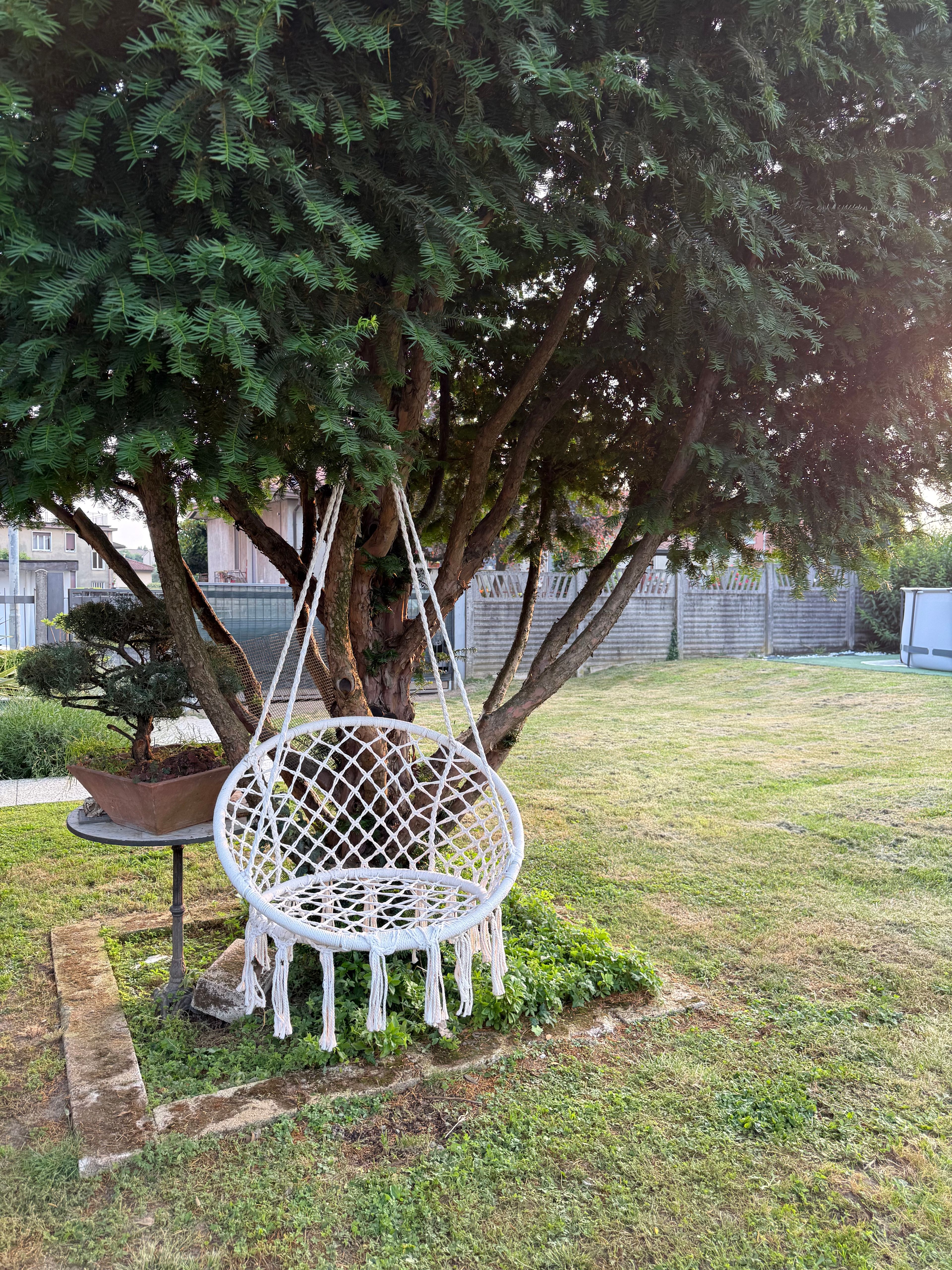 image-20