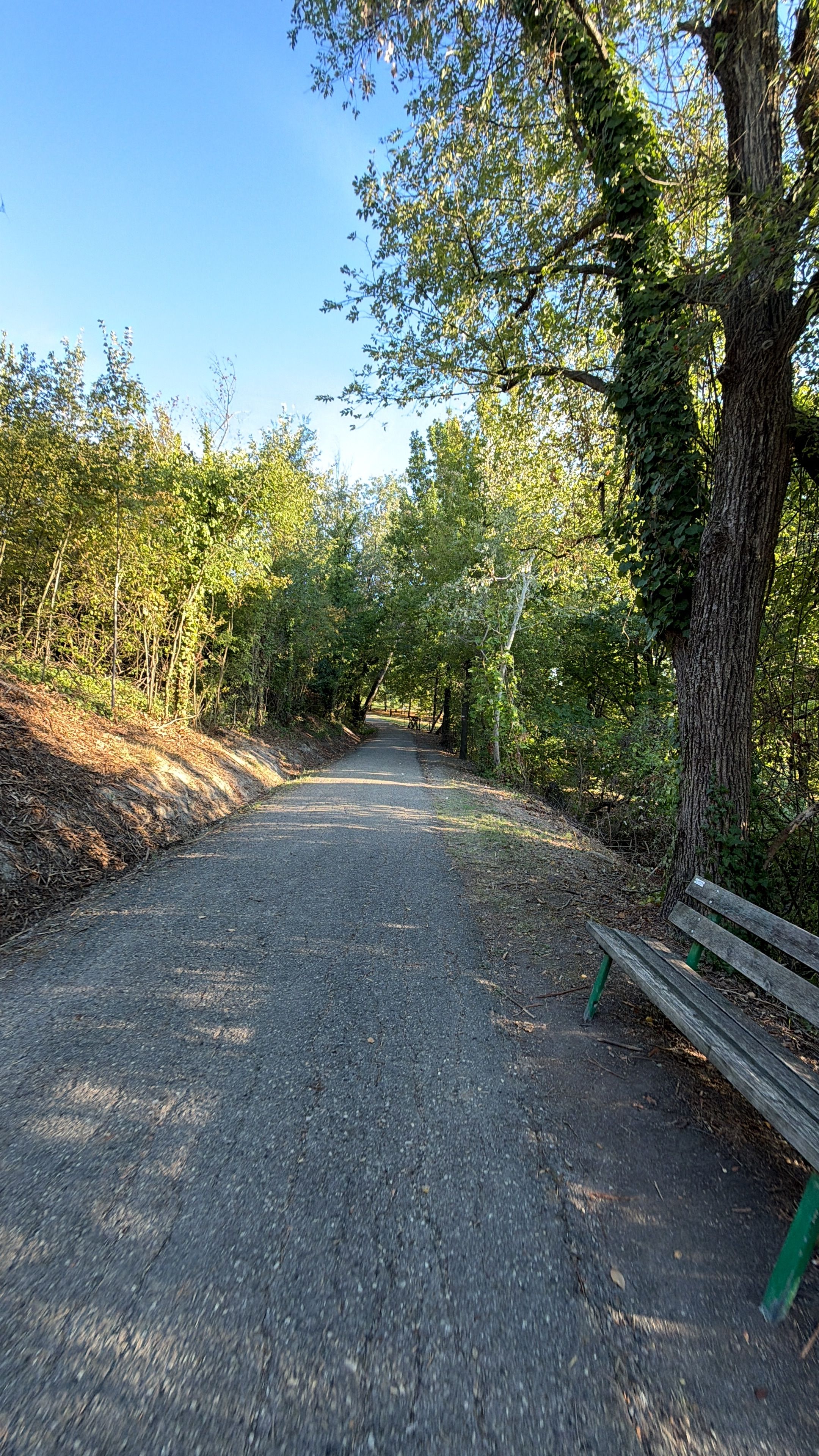 image-19