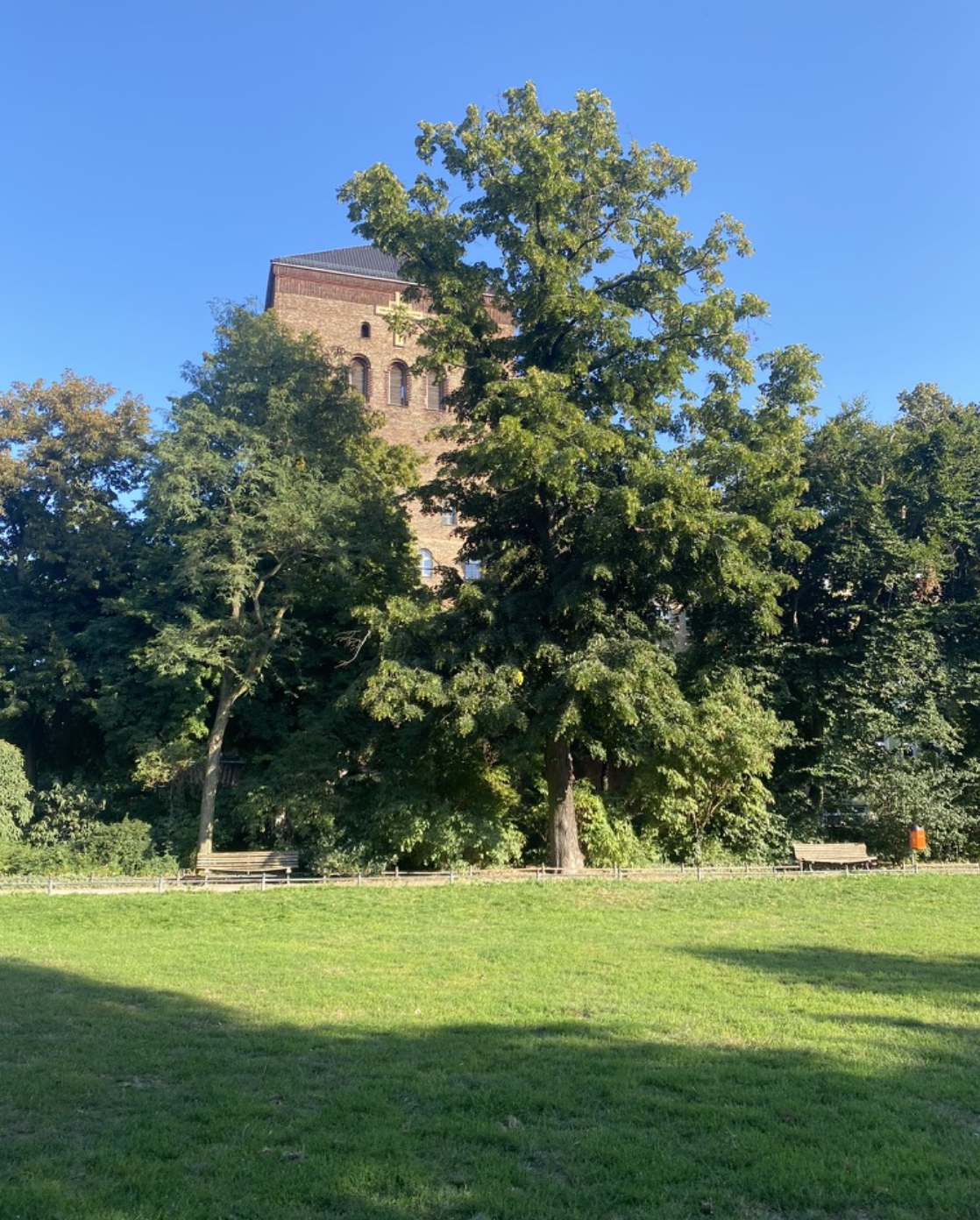 image-21