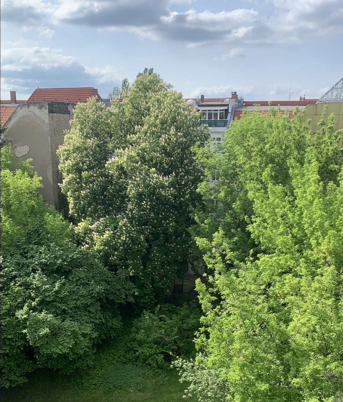 image-23