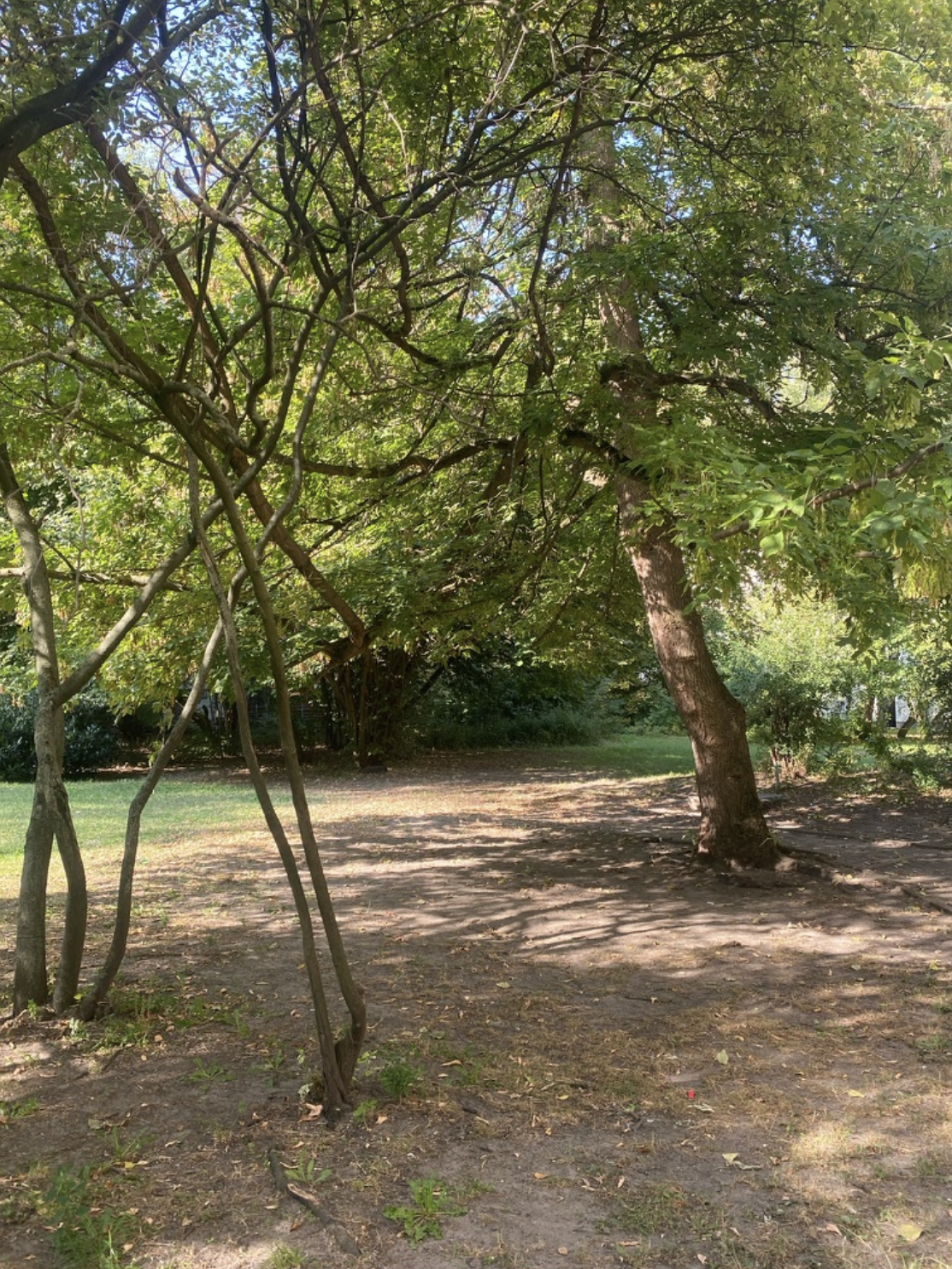 image-18