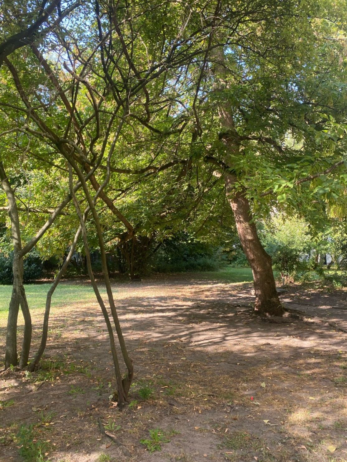 image-18