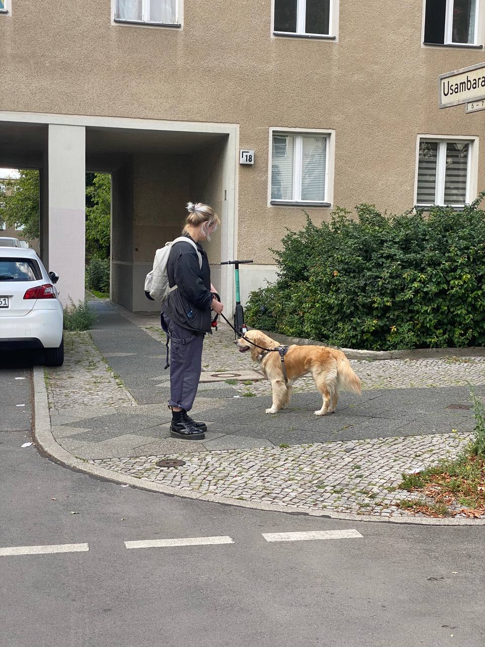 image-3