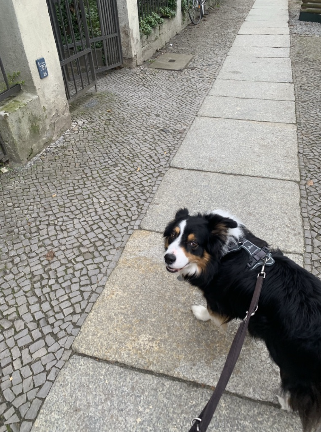 image-10