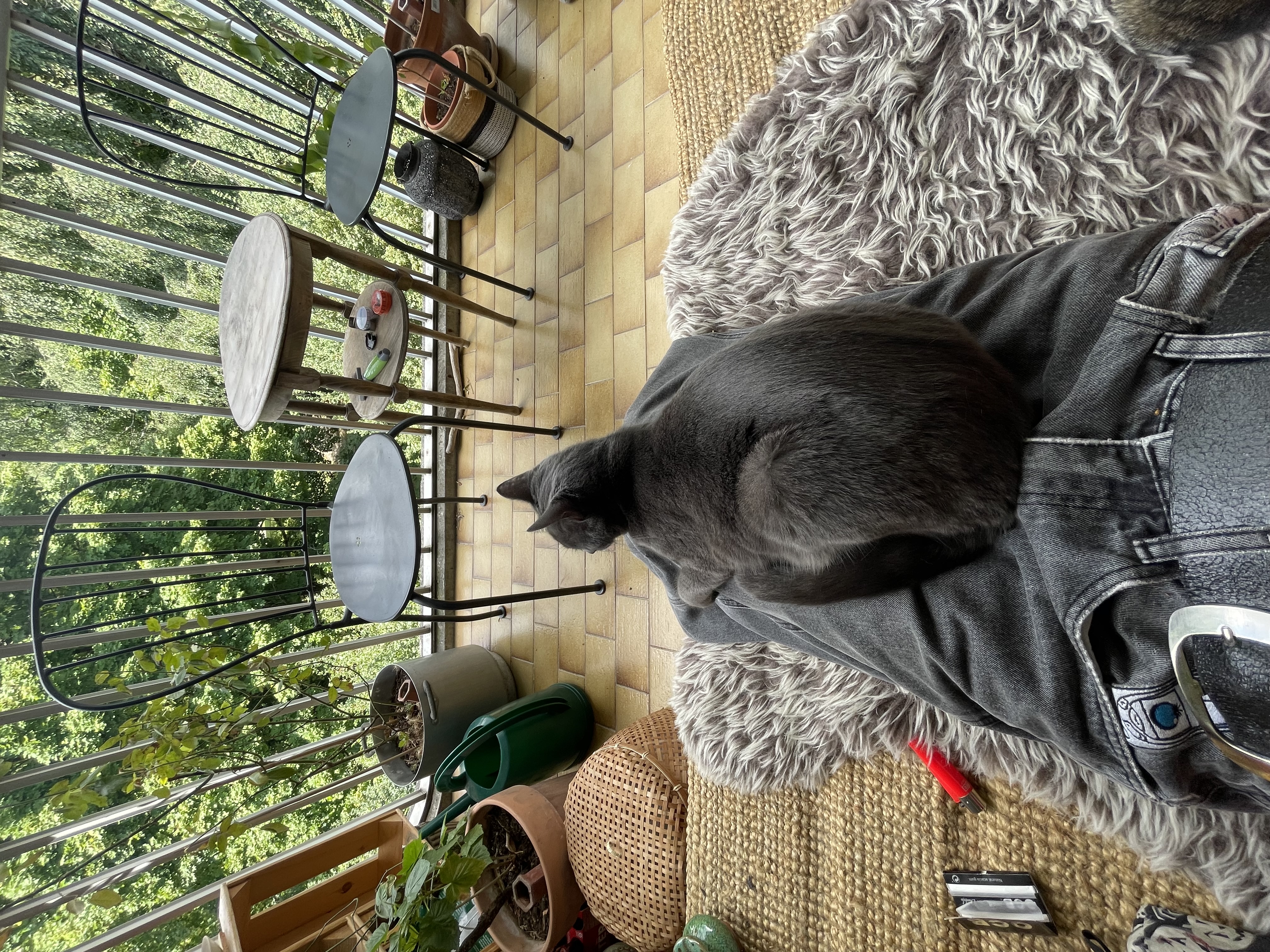 image-7