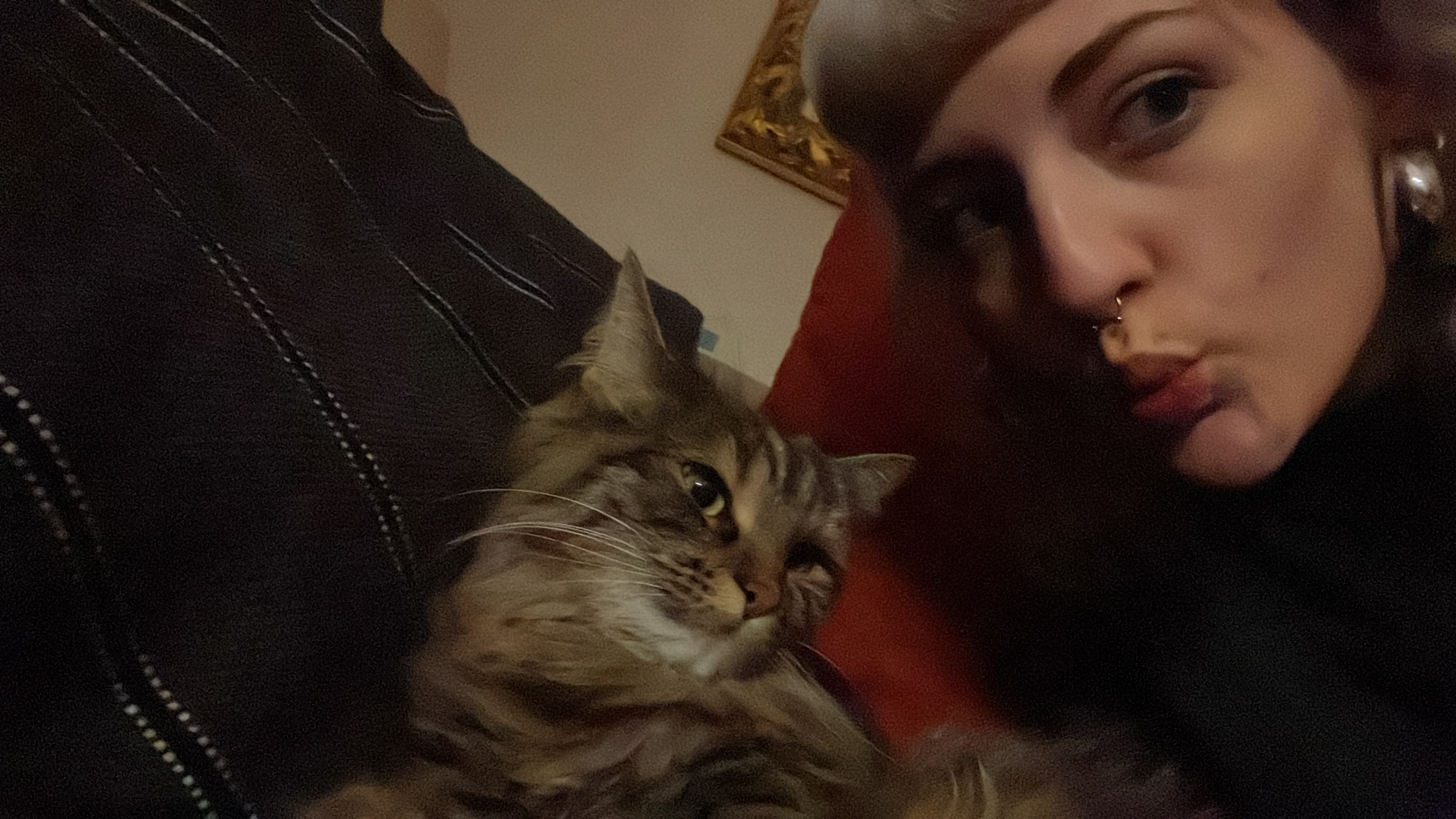 image-4