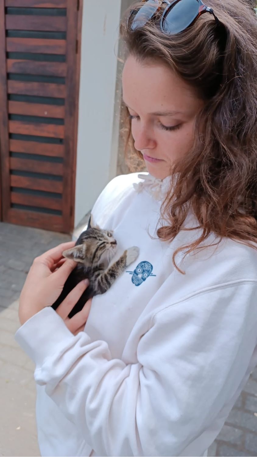 image-6