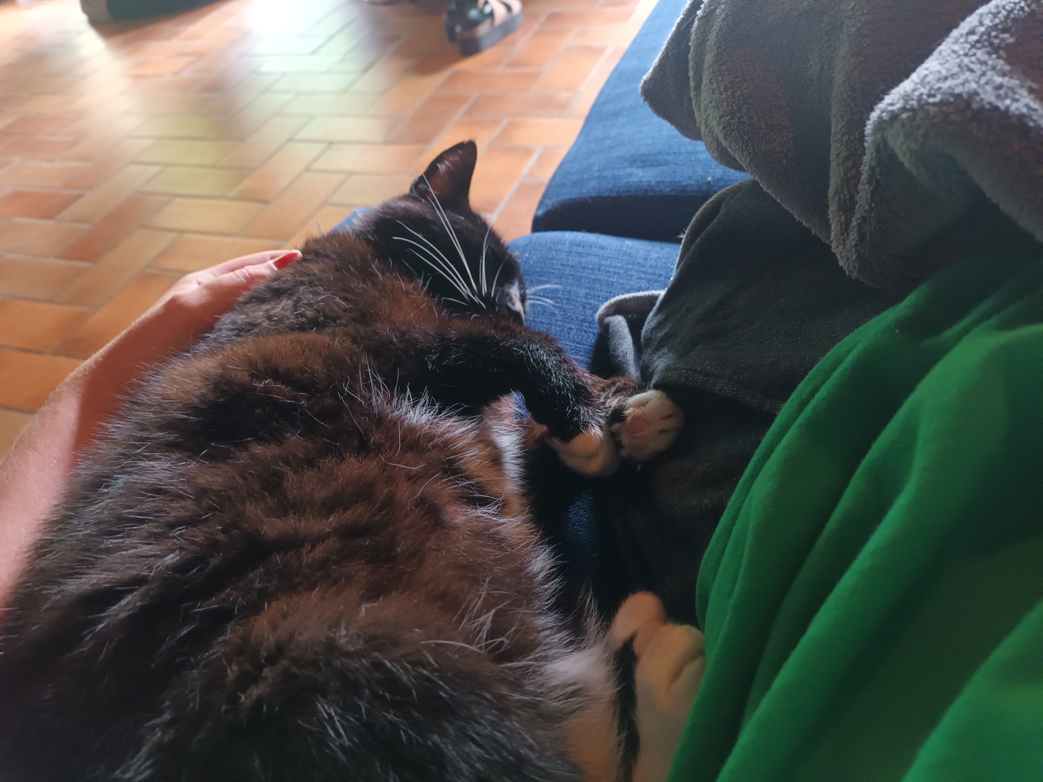image-8