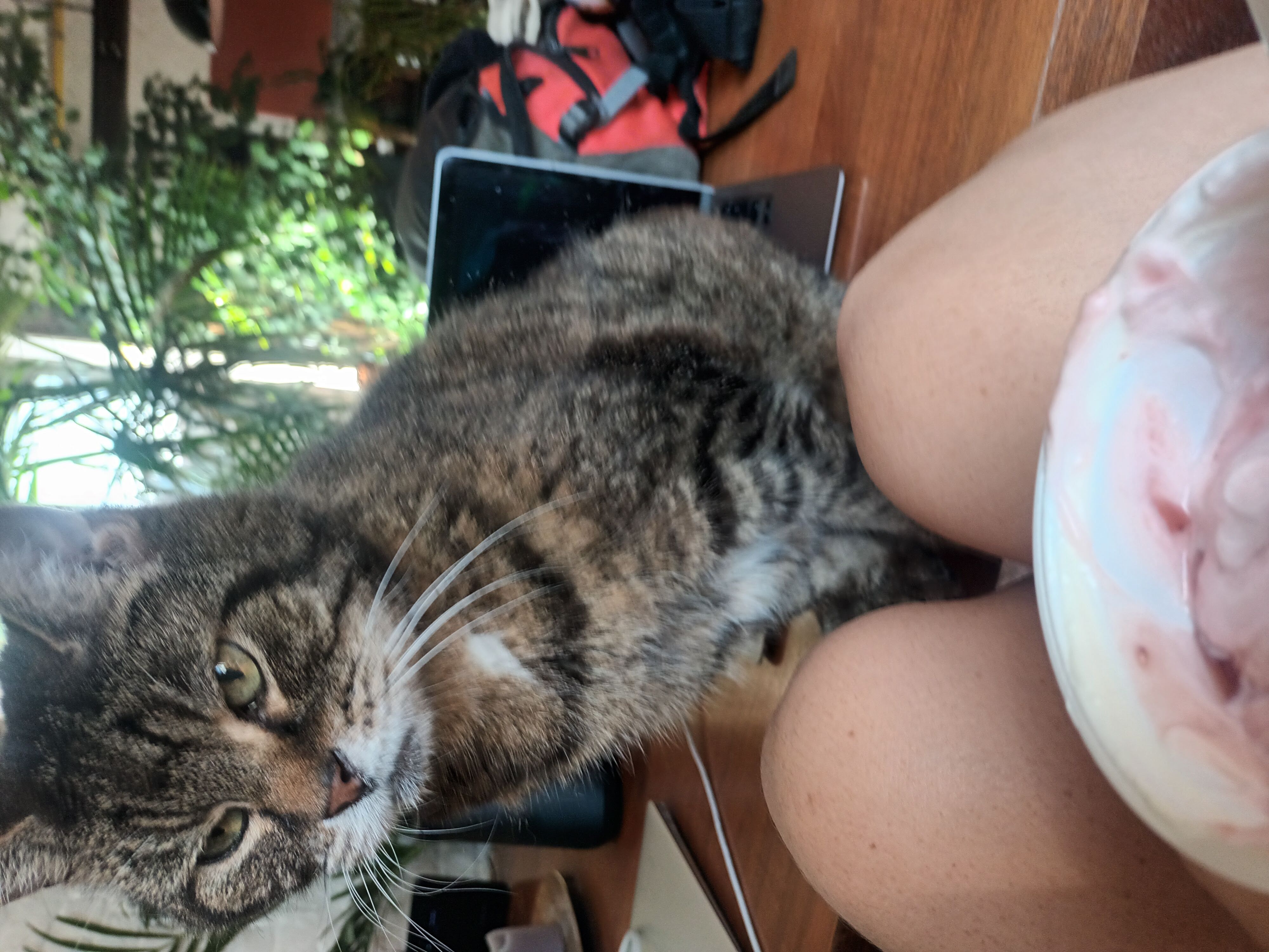 image-7