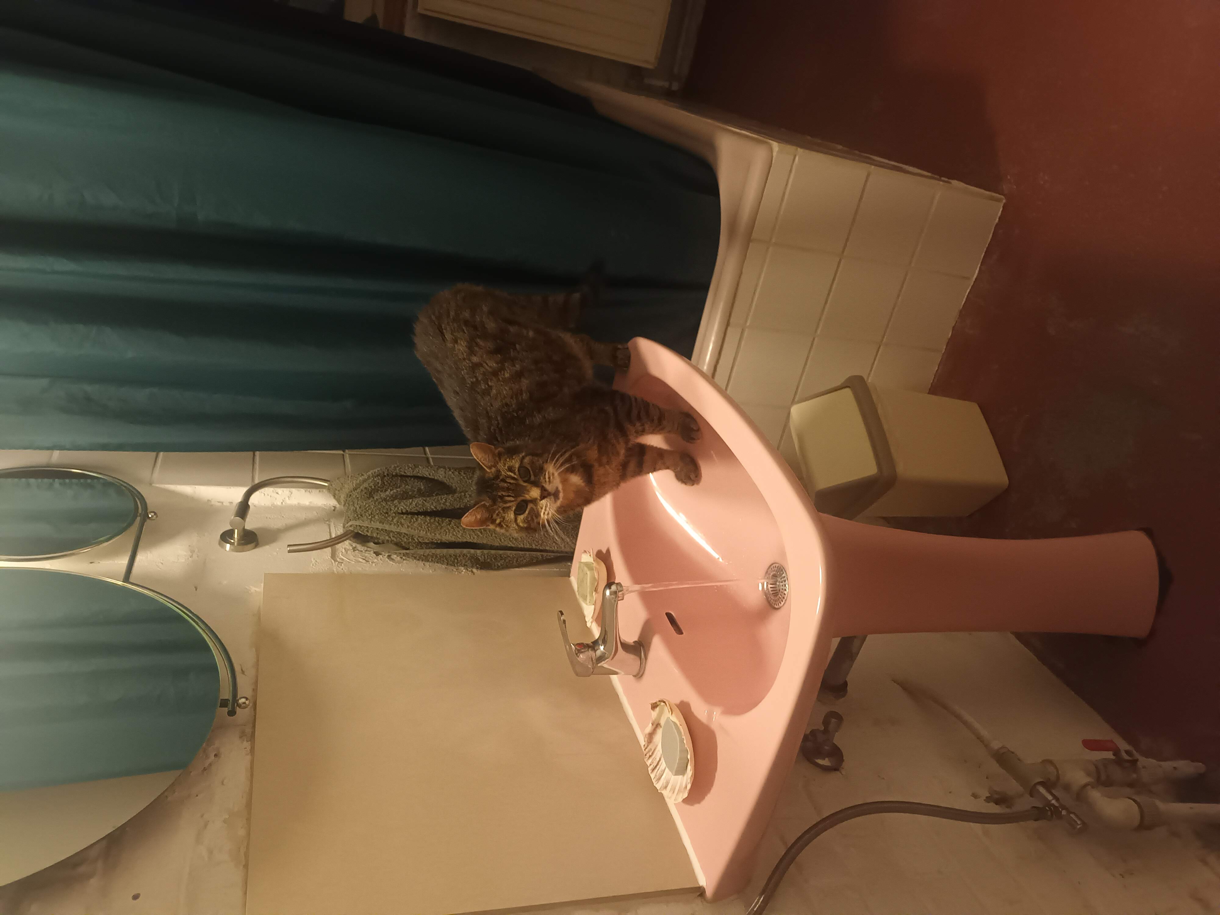 image-9