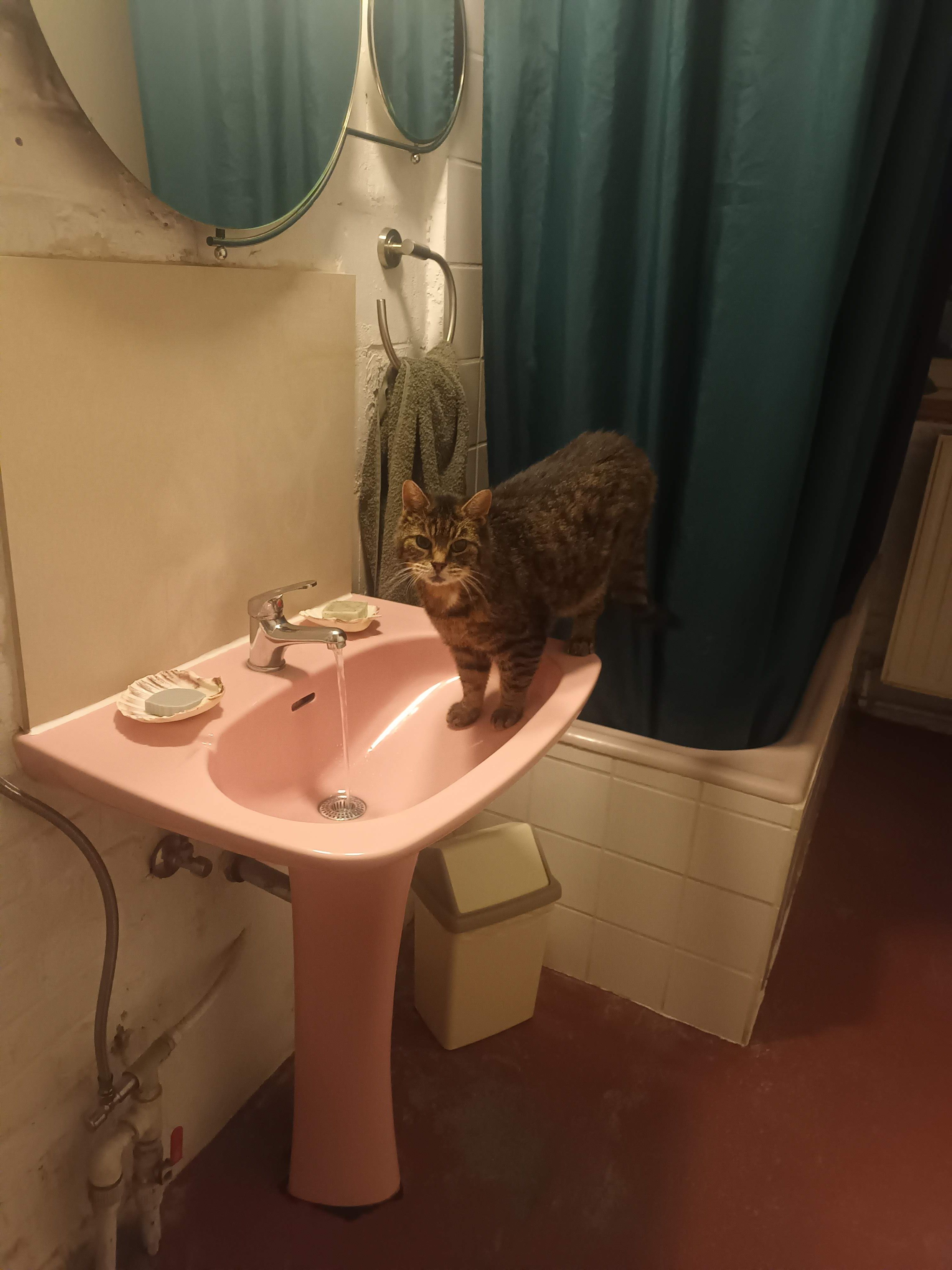 image-9